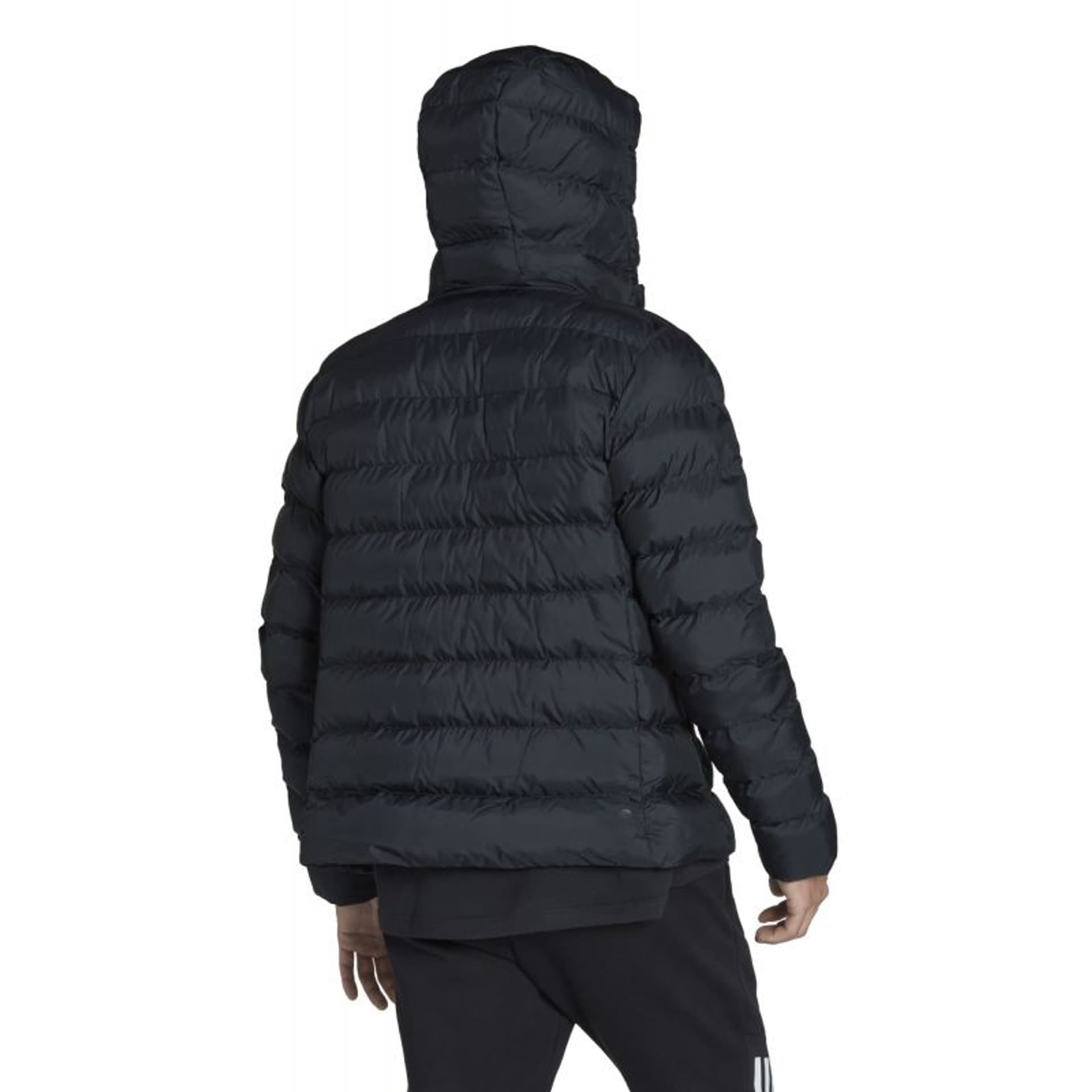 

Kurtka adidas Intersport Sdp M (kolor Czarny, rozmiar XL (188cm))