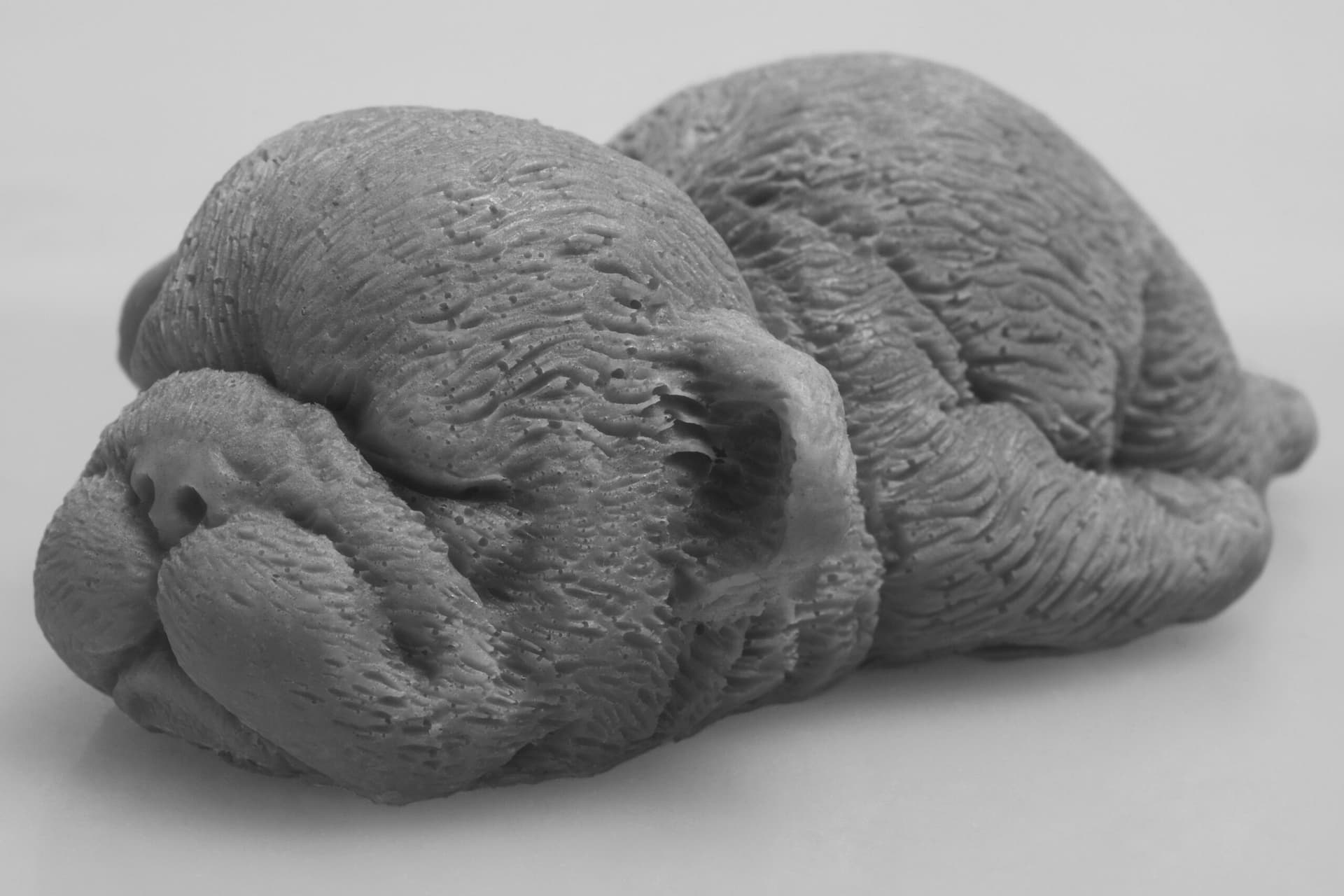 

DR LUCY Mydełko Szczeniak szare 55g