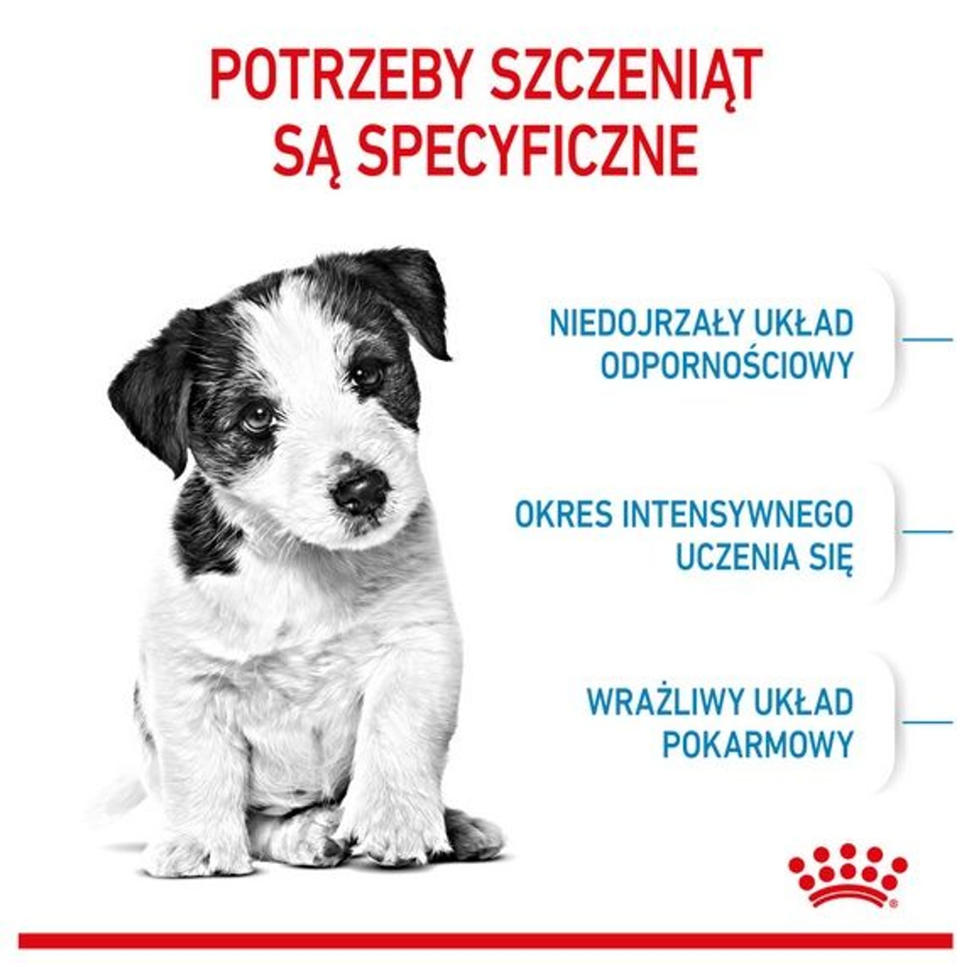 

Royal Canin Mini Puppy karma sucha dla szczeniąt, od 2 do 10 miesiąca życia, ras małych 2kg