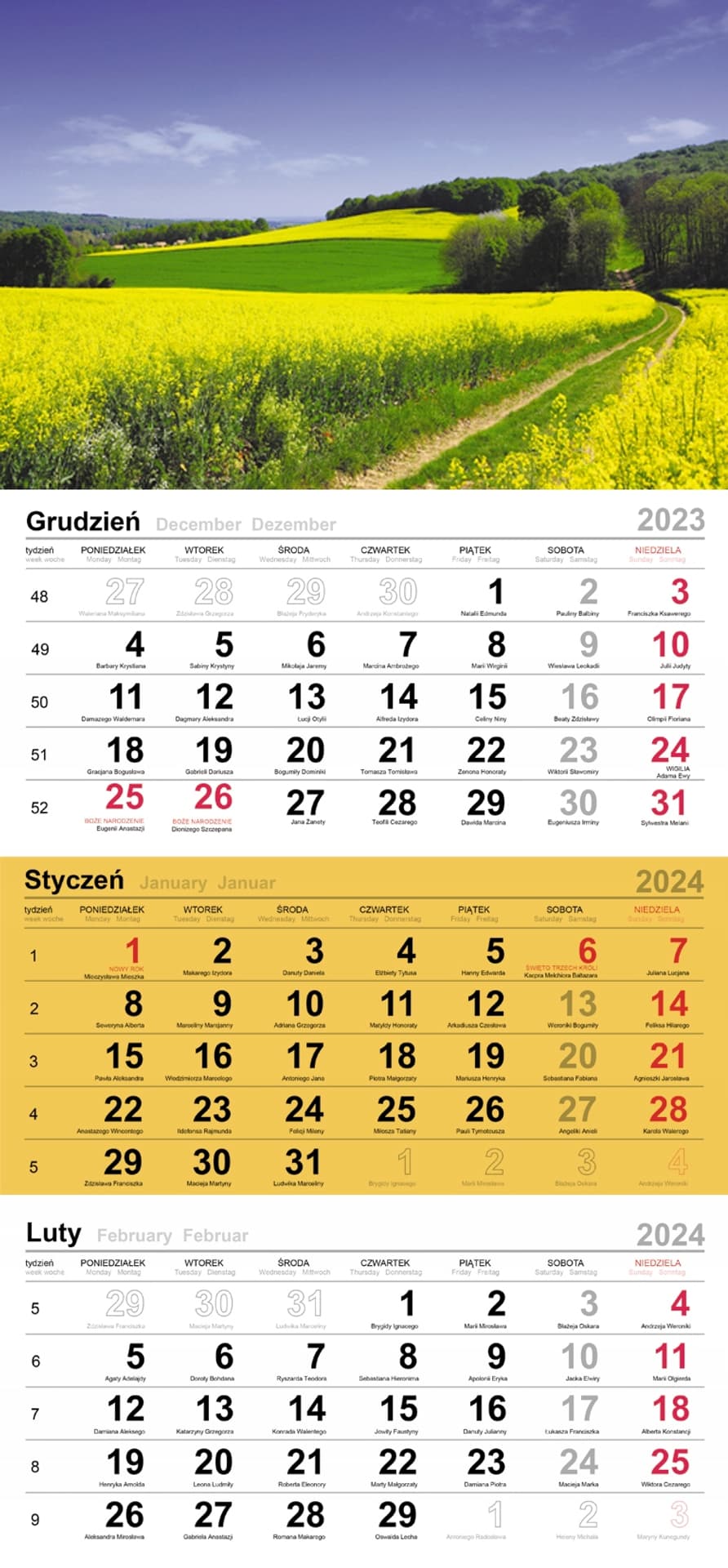 

Kalendarz trójdzielny(H) T-106T-01 Michalczyk i Prokop, H) t-106t-01 michalczyk i proko