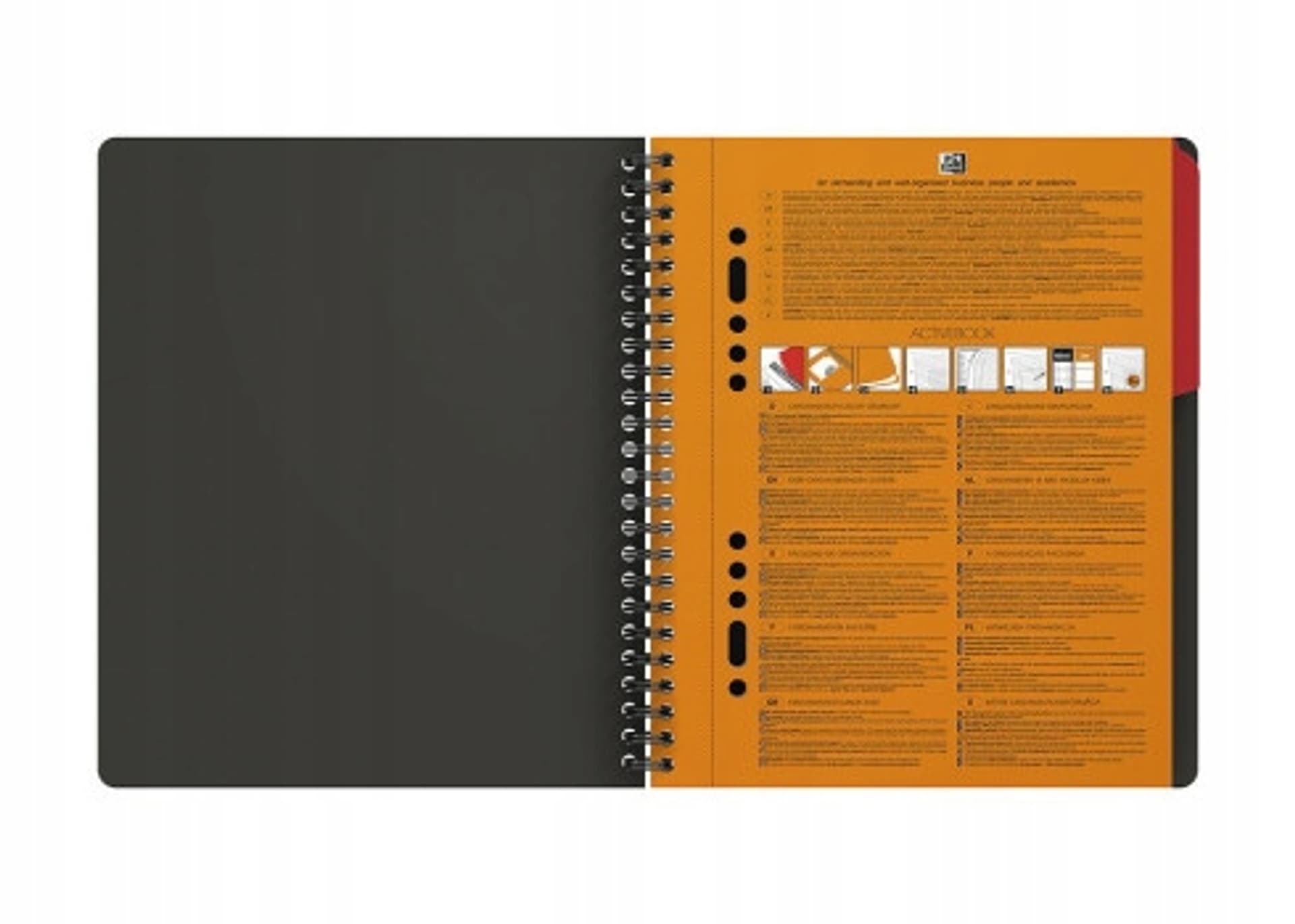 

Kołonotatnik A5 80K krata PP OXFORD Activebook International 100102880