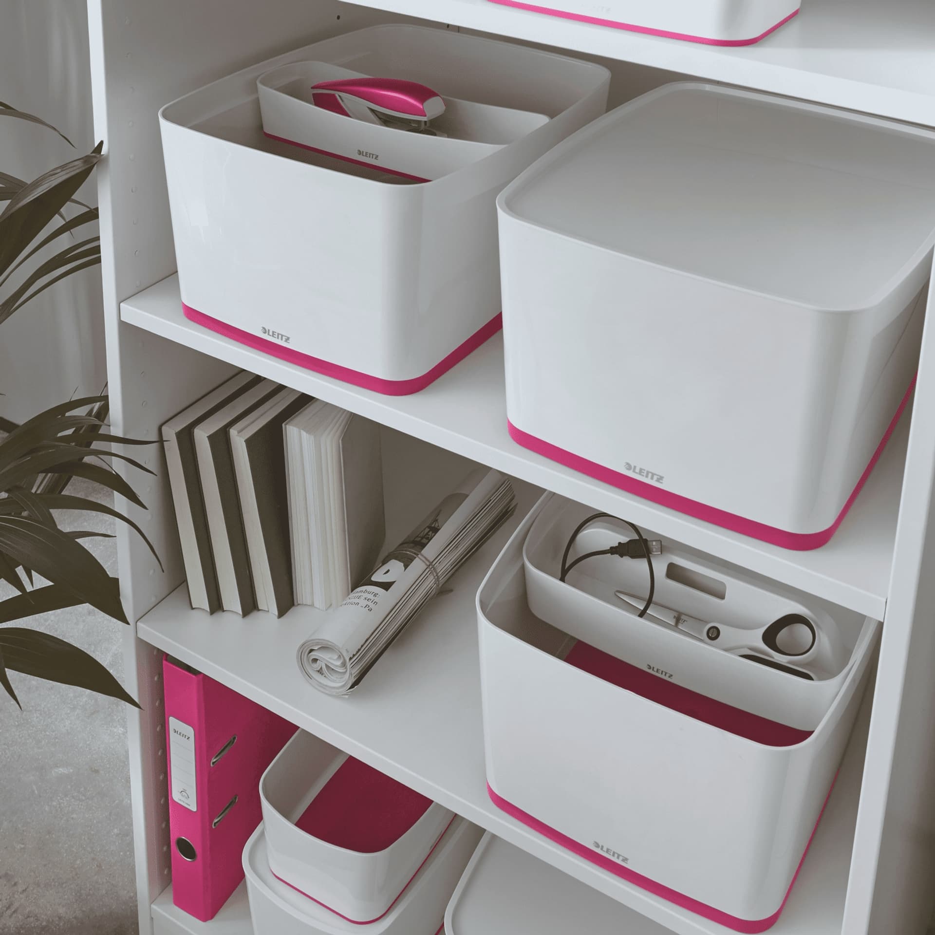 

Pojemnik MyBOX duży z pokrywką biało-różowy LEITZ 52161023
