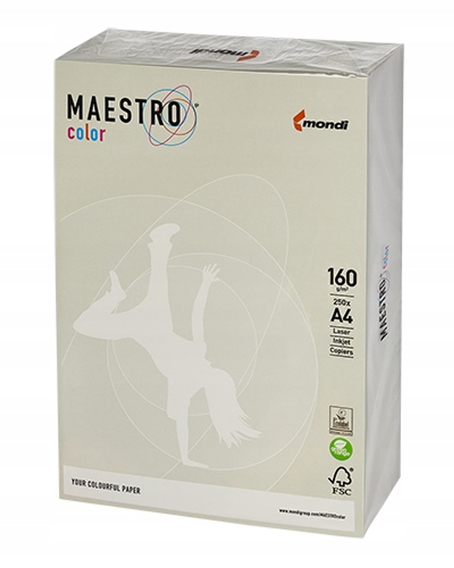 

Papier ksero A4 160g MAESTRO COLOR GR21 szary 250a