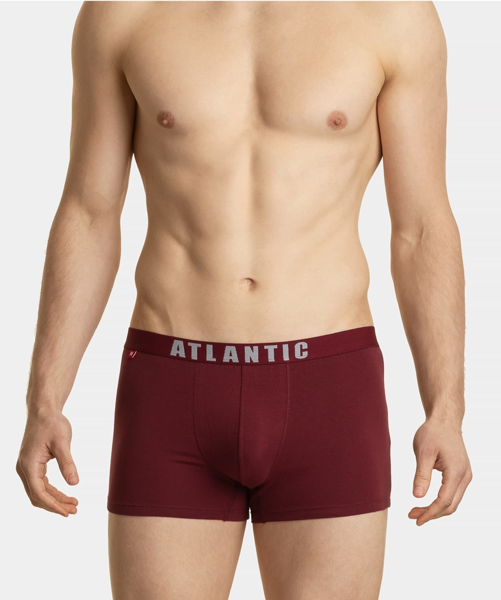 

SZORTY ATLANTIC 3MH-011/01 JZ23 (kolor granat, rozmiar L)