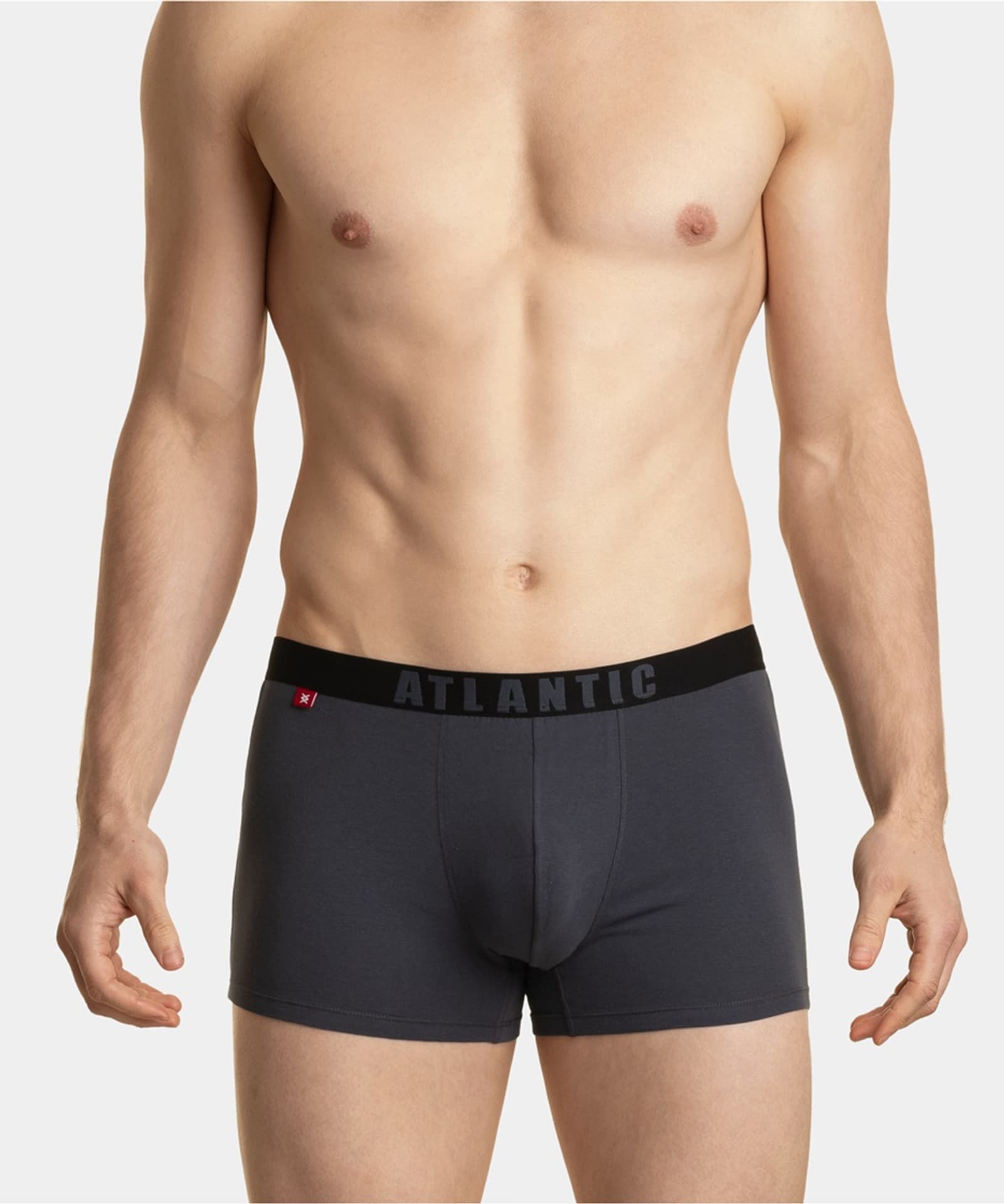 

SZORTY ATLANTIC 3MH-011/02 JZ23 (kolor czekoladowy, rozmiar XXL)