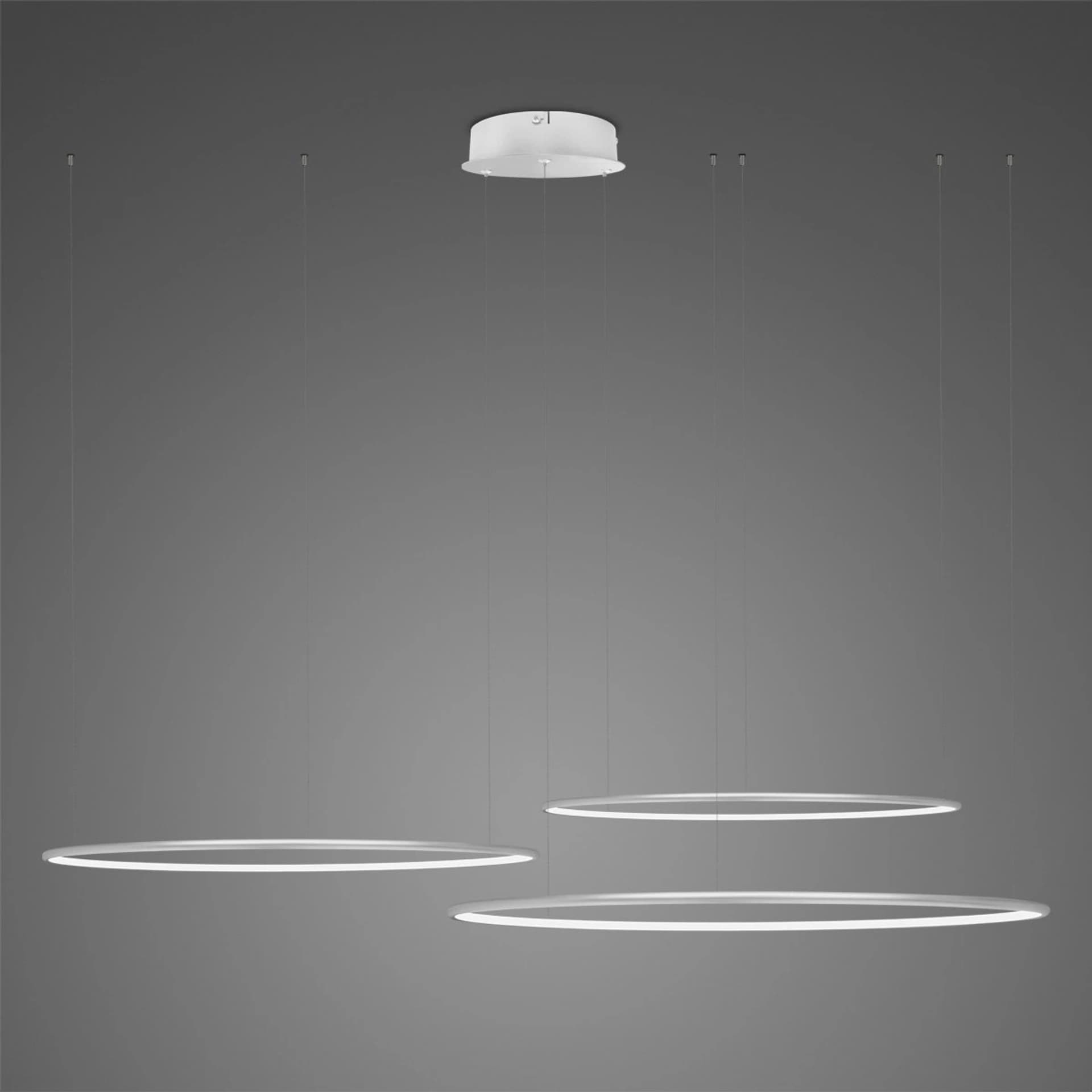 

Lampa wisząca Ledowe Okręgi No.3 Φ80 cm in 4k srebrna ściemnialna Altavola Design (Barwa światła barwa dzienna, Kolor srebrny, Możliwość ściemniania tak)