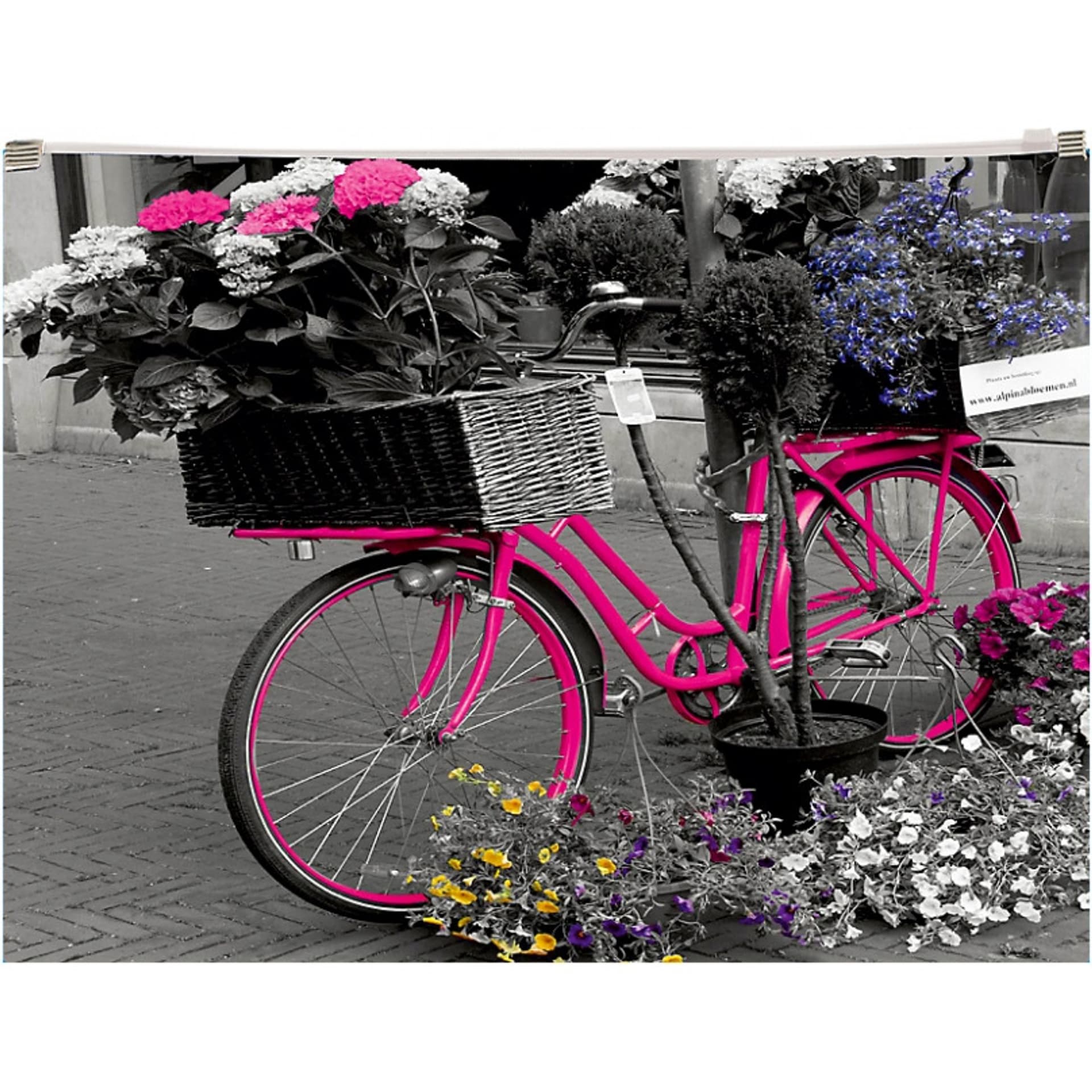

Koperta poszerzana z suwakiem A4 PP nadruk Bike 0410-0063-44 Panta Plast