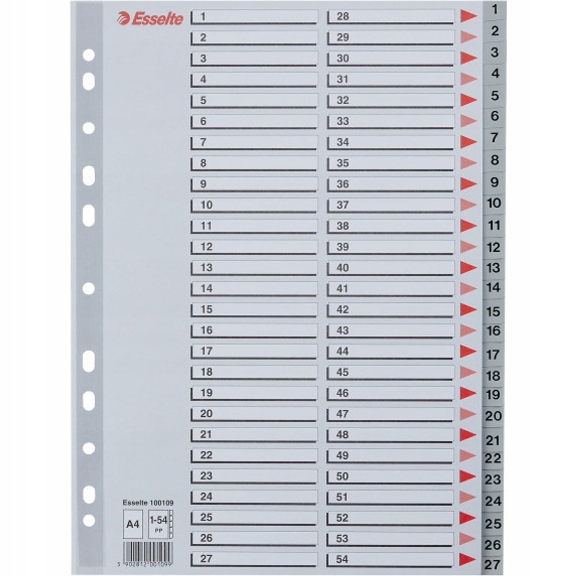 

Przekładki plastikowe numeryczne A4 1-54 szare ESSELTE 100109