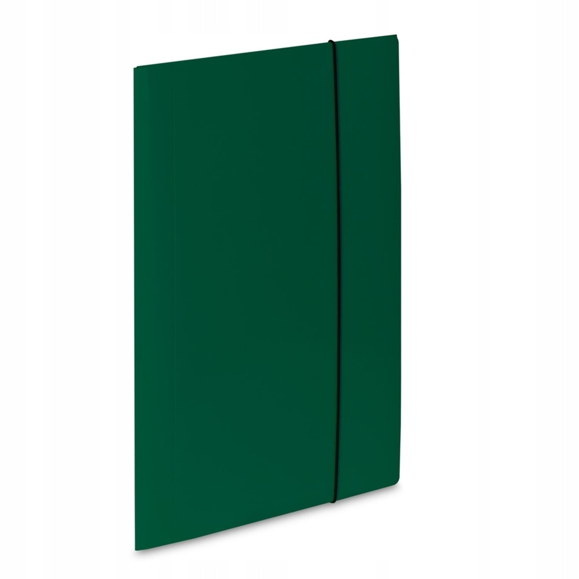 

Teczka z gumką 1 zielona 450g. 302/06 VAUPE