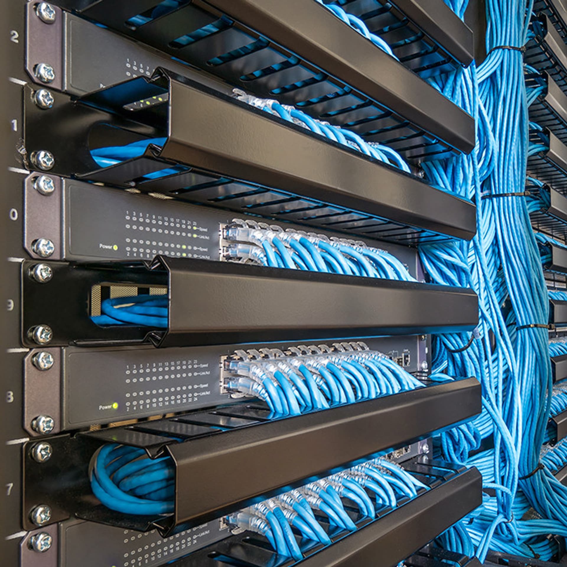 

Qoltec Zestaw montażowy M16 do szaf Rack | 50szt.