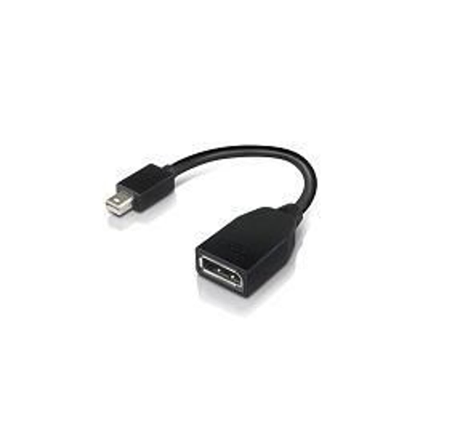 

Lenovo Mini-DisplayPort to DisplayPort Adapter