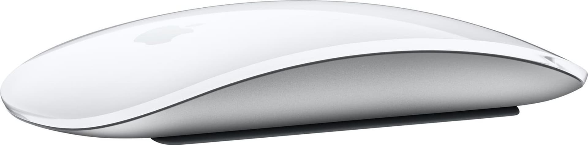 

Apple Magic Mouse - Mouse -