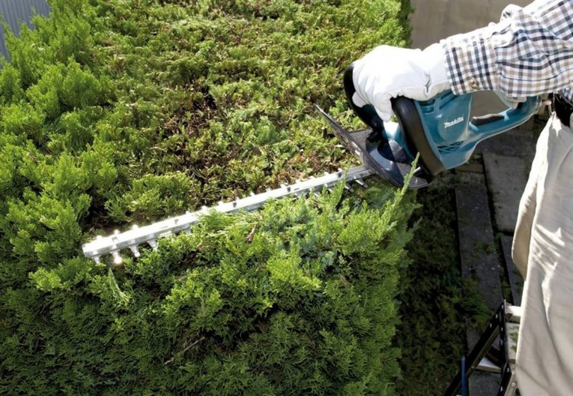 

NOŻYCE ELEKTRYCZNE DO ŻYWOPŁOTU 550W 45CM