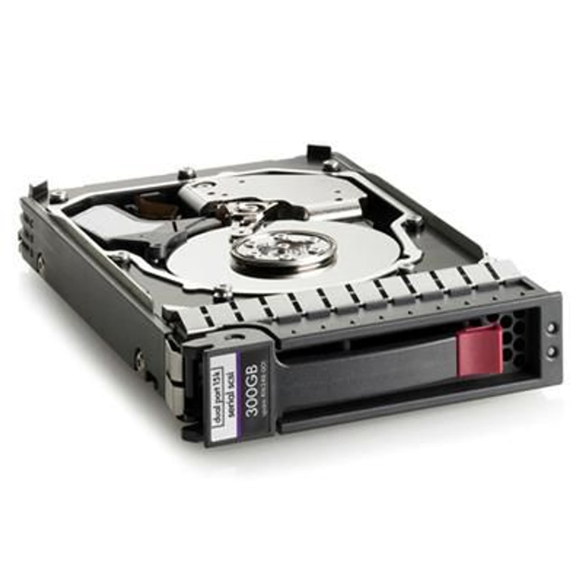 

Hewlett Packard Enterprise Dual Port HDD 300 GB hotswap