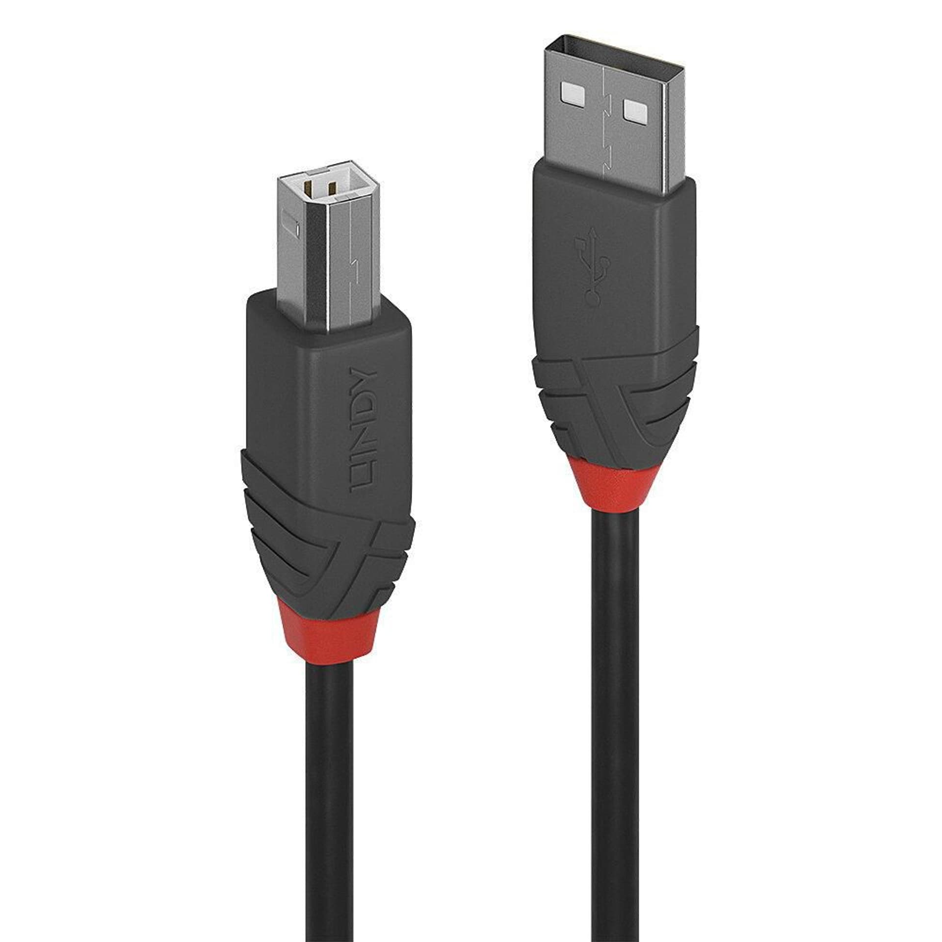 

Lindy 0.2M Usb 2.0 Type A To B