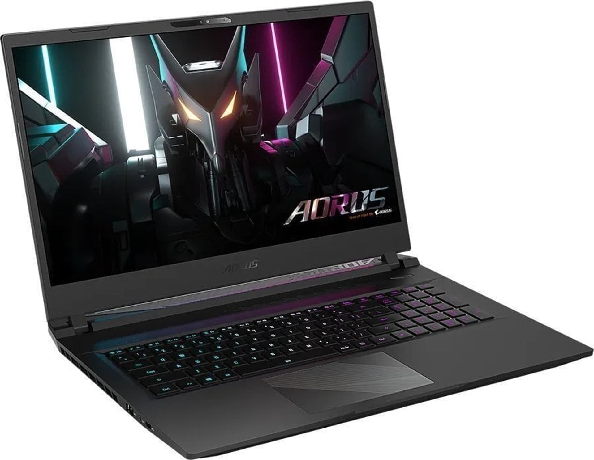 

GIGABYTE Aorus 17 BKF (17.3"/I7-13700H/RTX4060/16GB/SSD1TB/W11H/Szaro-czarny)