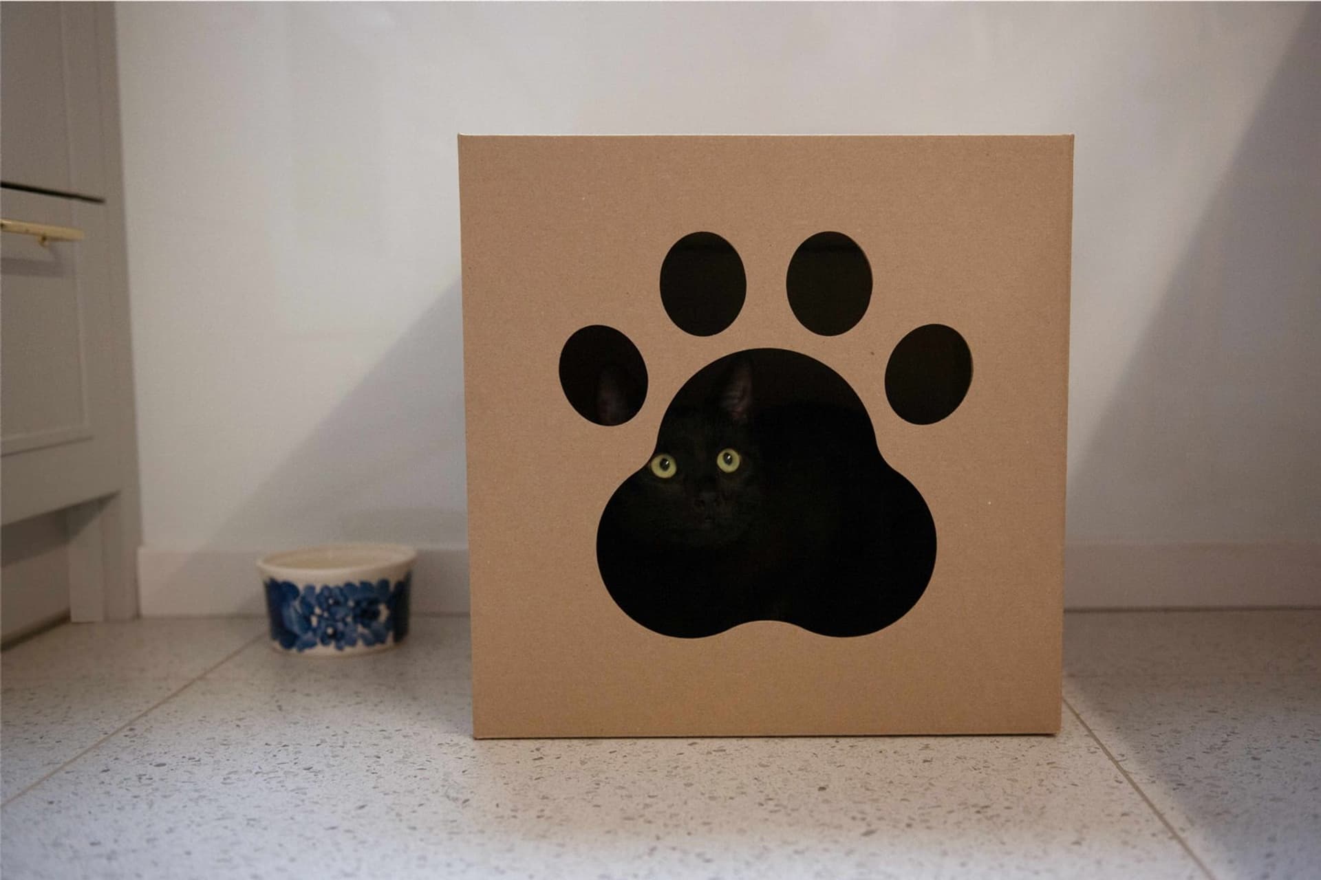 

Carton+ Pets Zestaw Domek kartonowy i drapak Netti