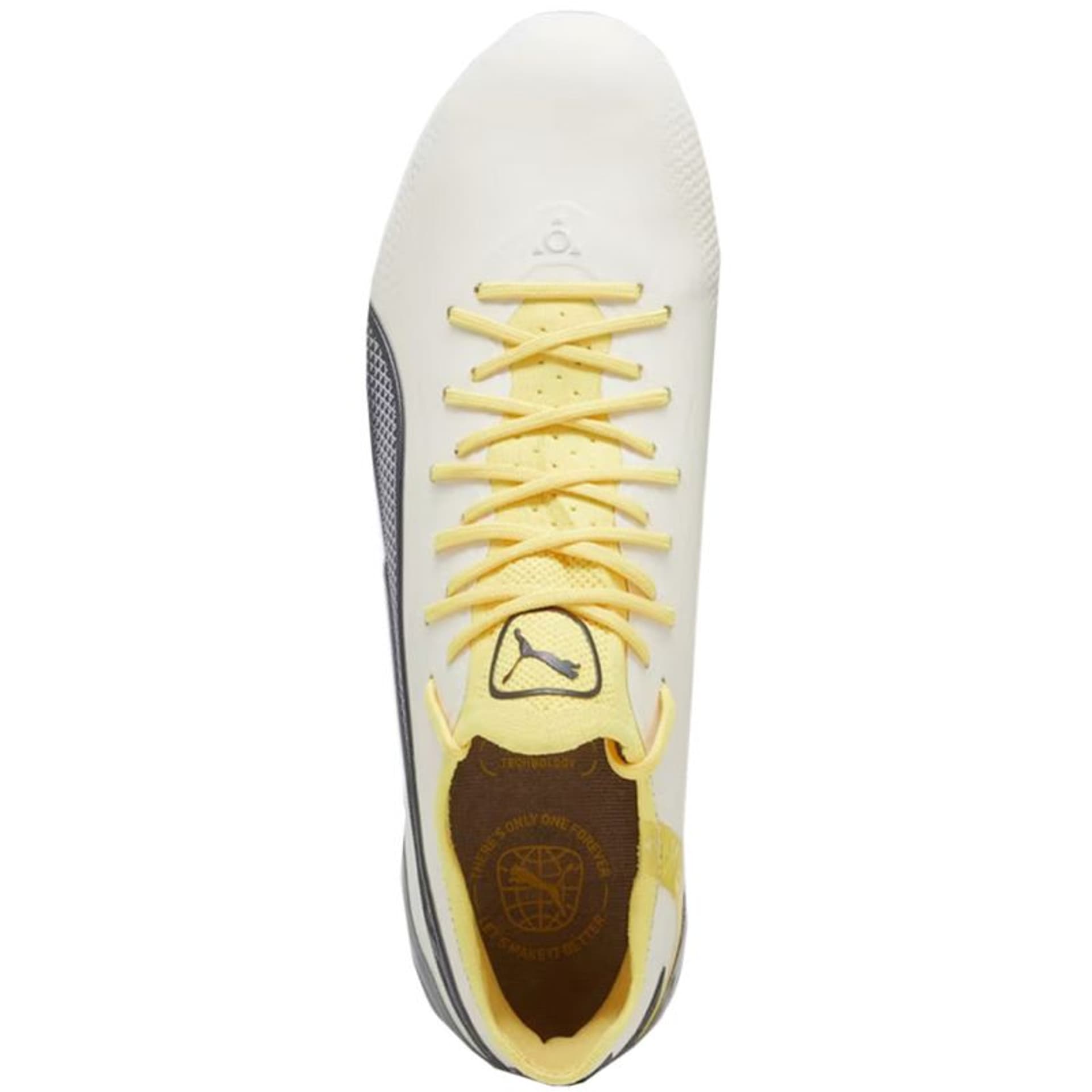 

Buty piłkarskie Puma King Ultimate FG/AG M 107563 (kolor Żółty, rozmiar 42.5)