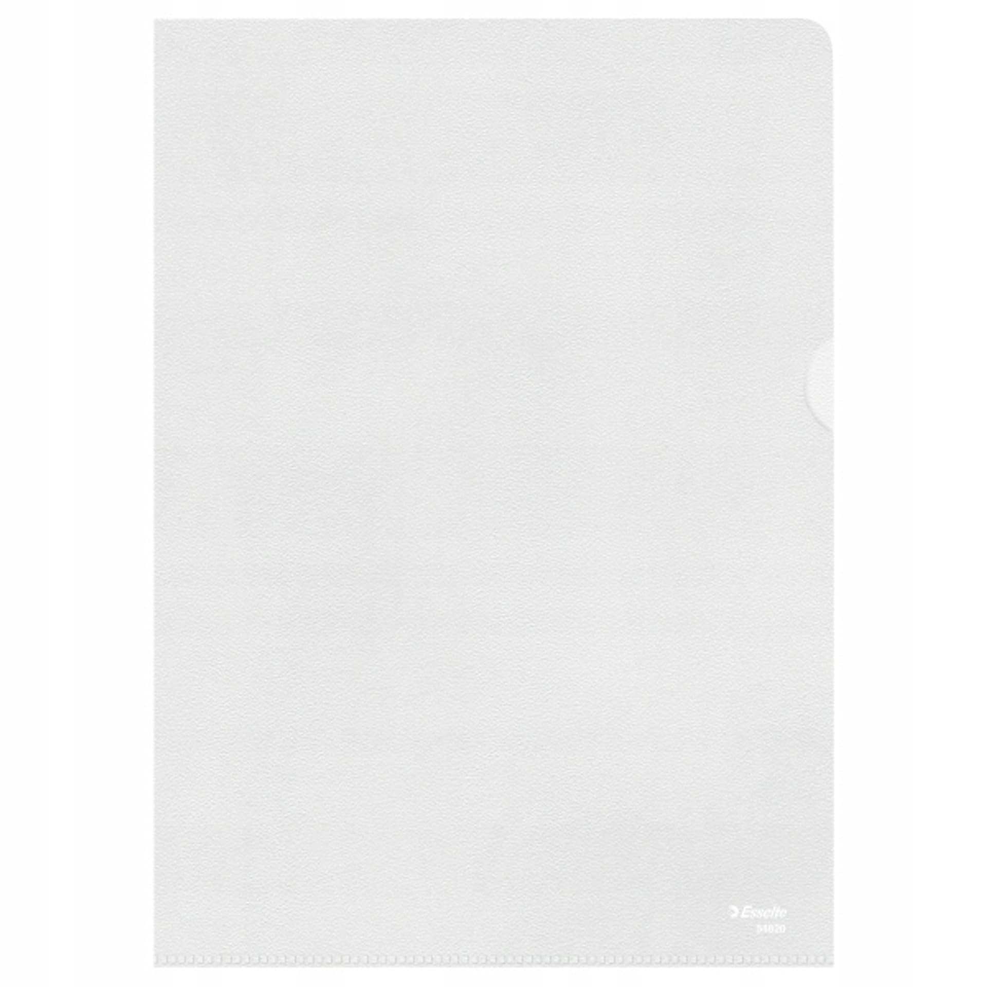 

Ofertówki groszkowe A4 90mic.(100szt.) 54852 ESSELTE, 100szt.) 54852 esselt