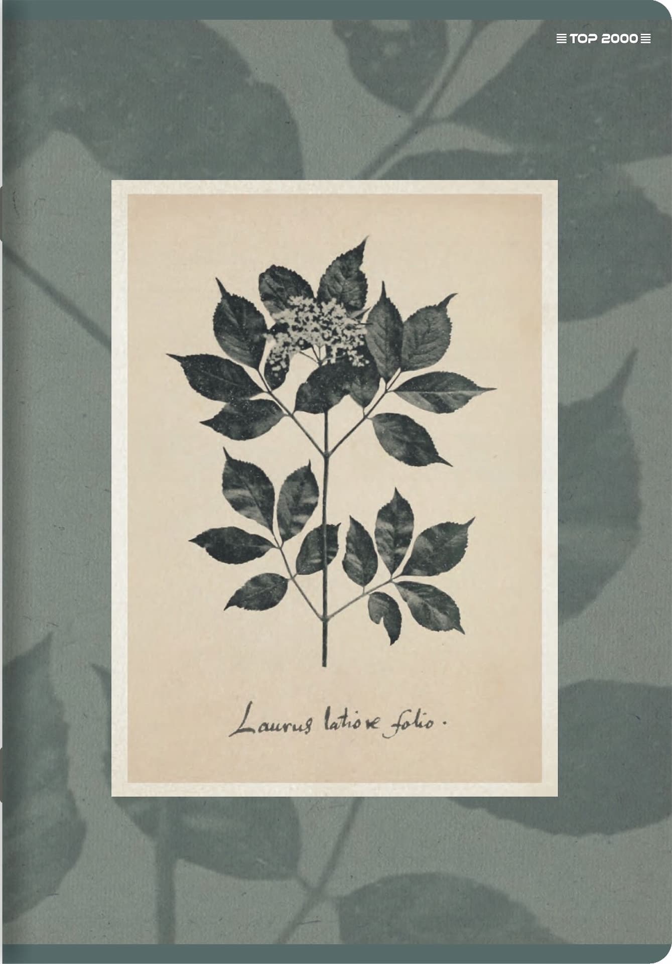 

Zeszyt A5 60k linia margines 70g FLOWERS 400169420 TOP 2000