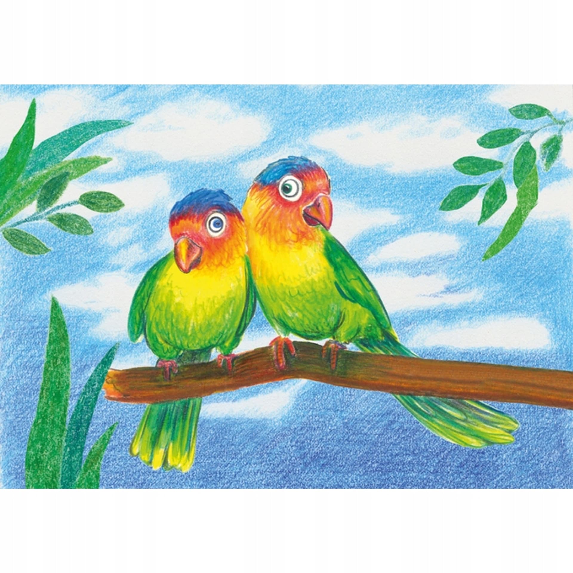 

Kredki ECO COLOUR TRÓJK. 36 KOL.+TEMP. FC120536 FABER-CASTELL
