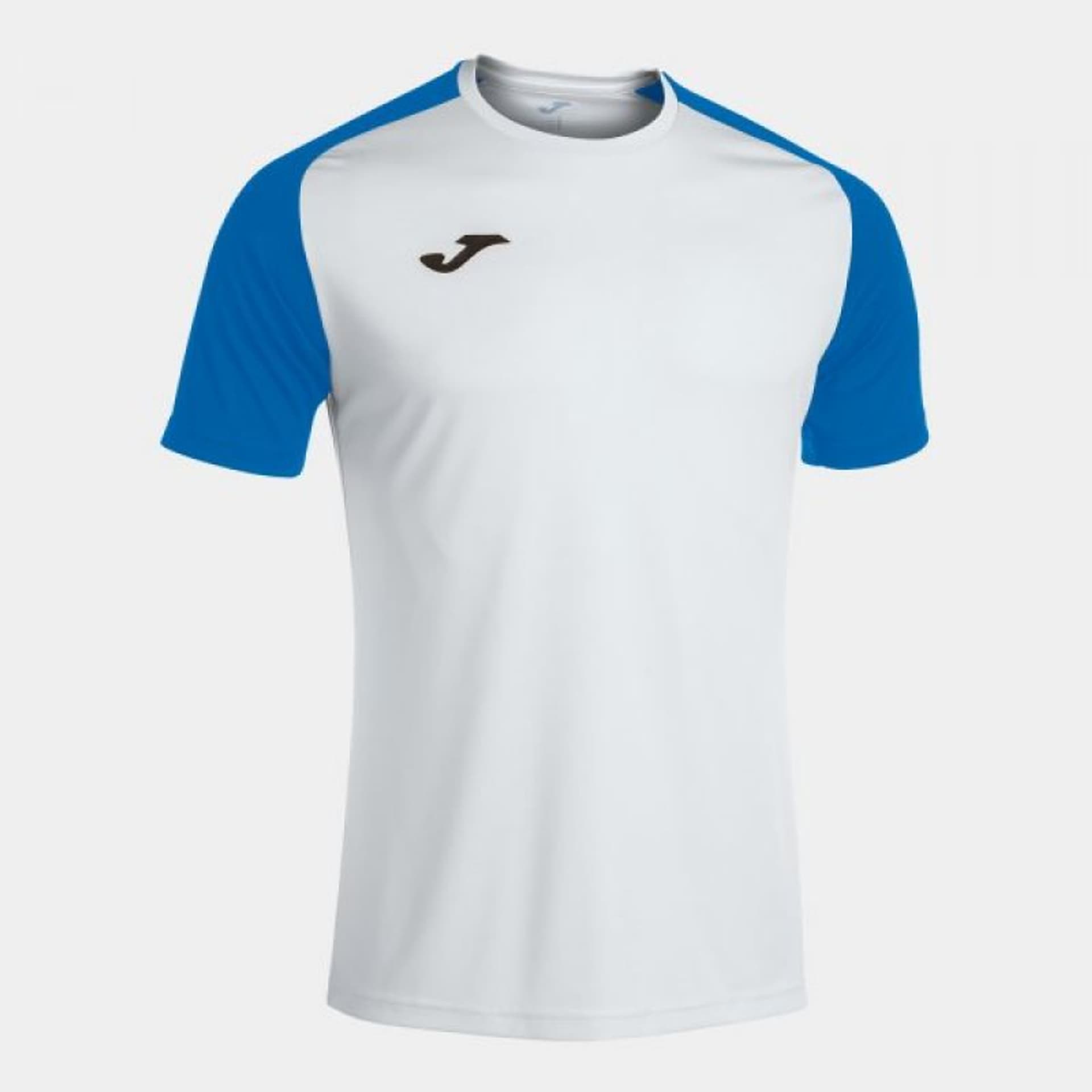 

Koszulka piłkarska Joma Academy IV Sleeve 101968 (kolor Biały. Niebieski, rozmiar XL)