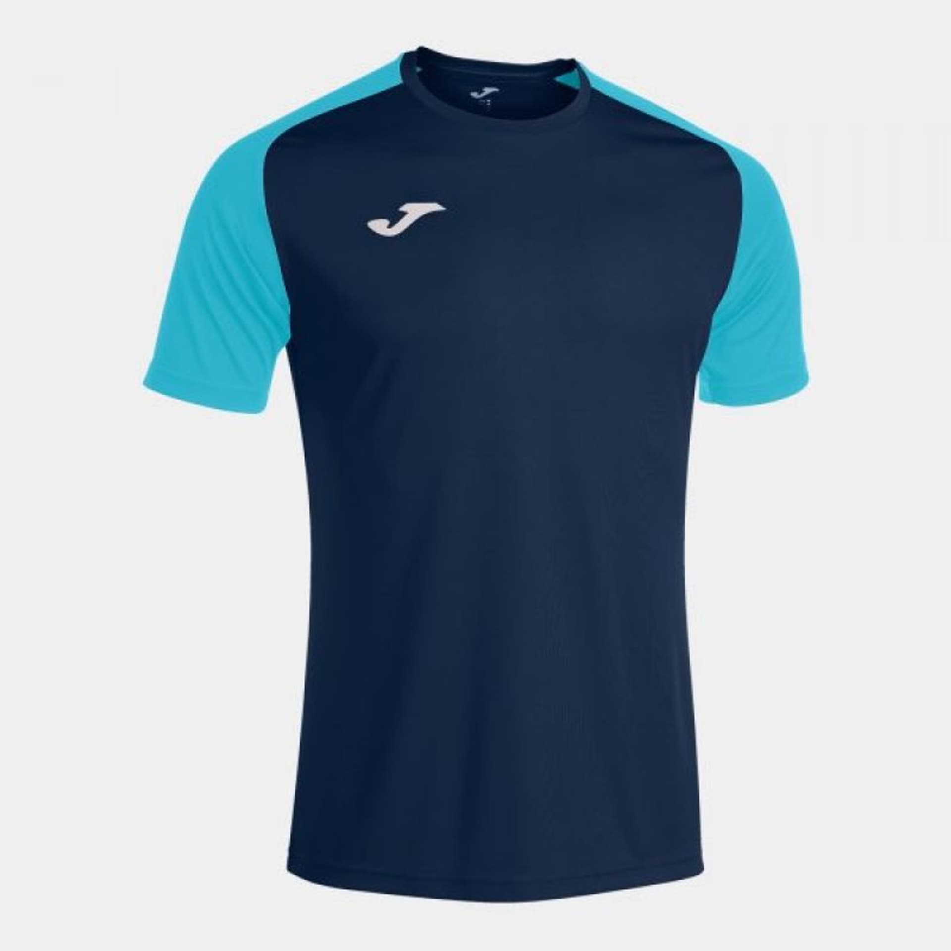 

Koszulka piłkarska Joma Academy IV Sleeve 101968 (kolor Granatowy. Niebieski, rozmiar 6XS-5XS)