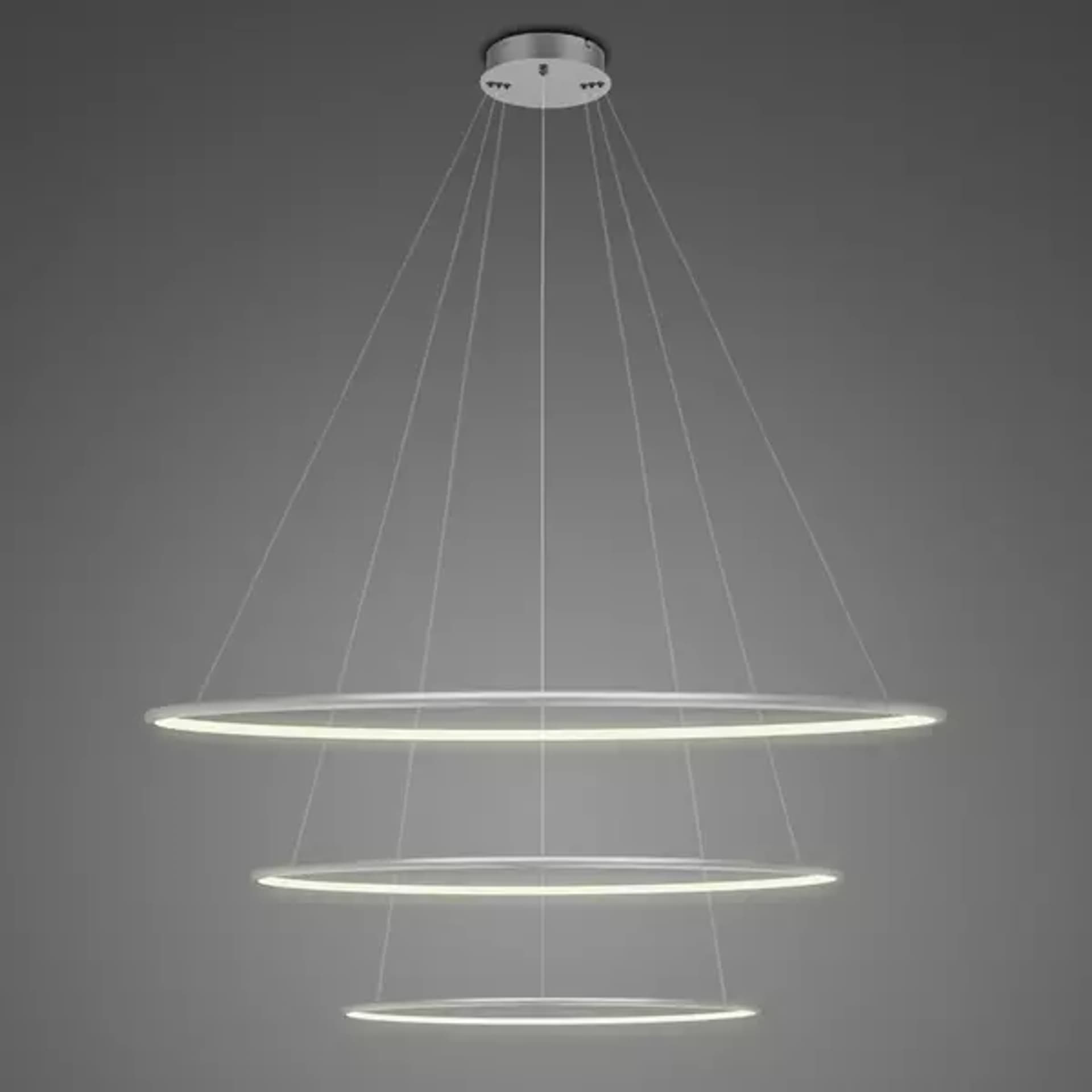 

Lampa wisząca Ledowe Okręgi No.3 Φ80 cm in 3k srebrna ściemnialna Altavola Design (Barwa światła delikatnie ciepła, Kierunek padania światła do wewnątrz, Kolor srebrny, Możliwość ściemniania tak)