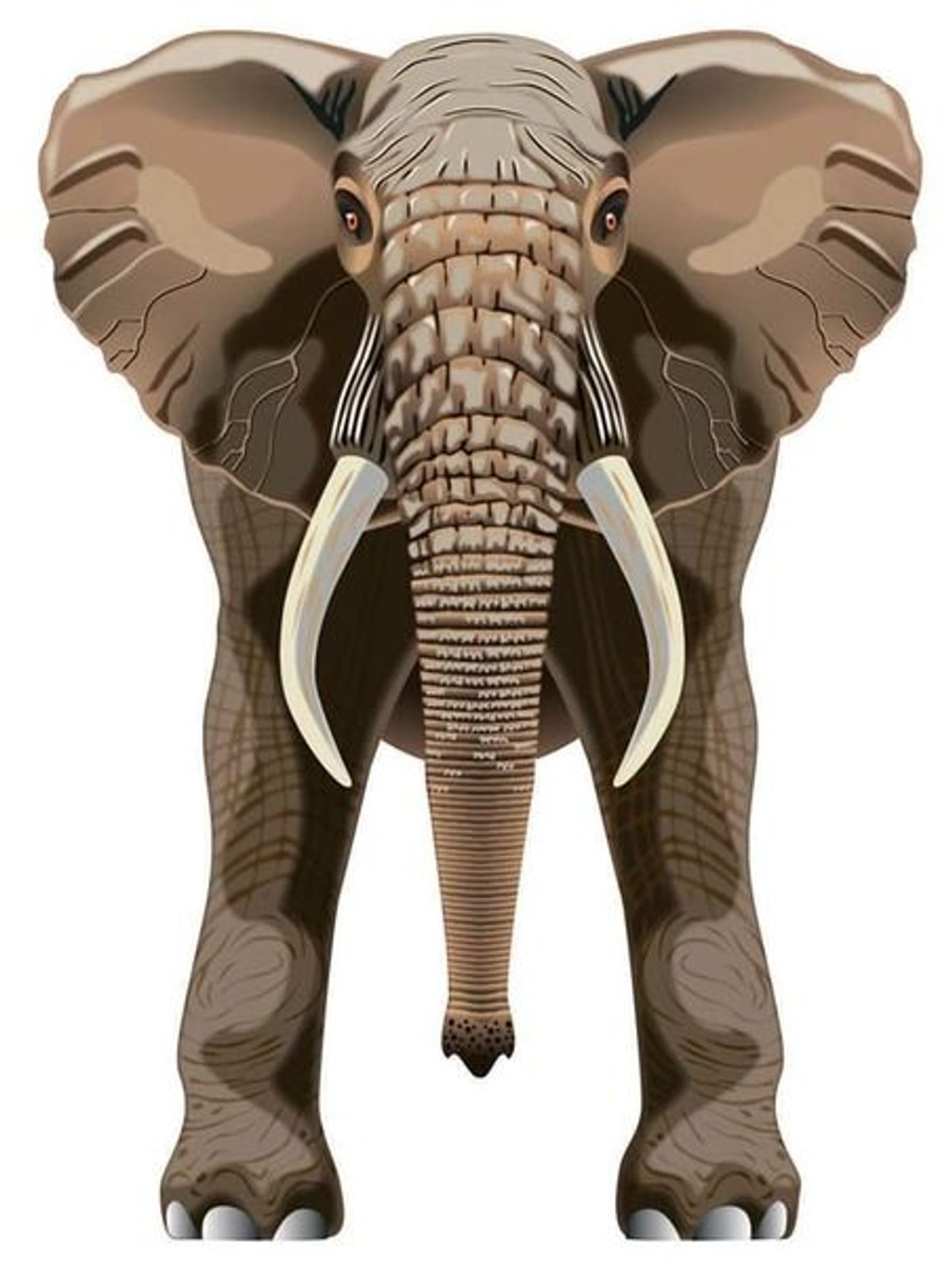 

Latawiec BRAINSTORM - WNS SkyZoo 40x30" Nylon Elephant