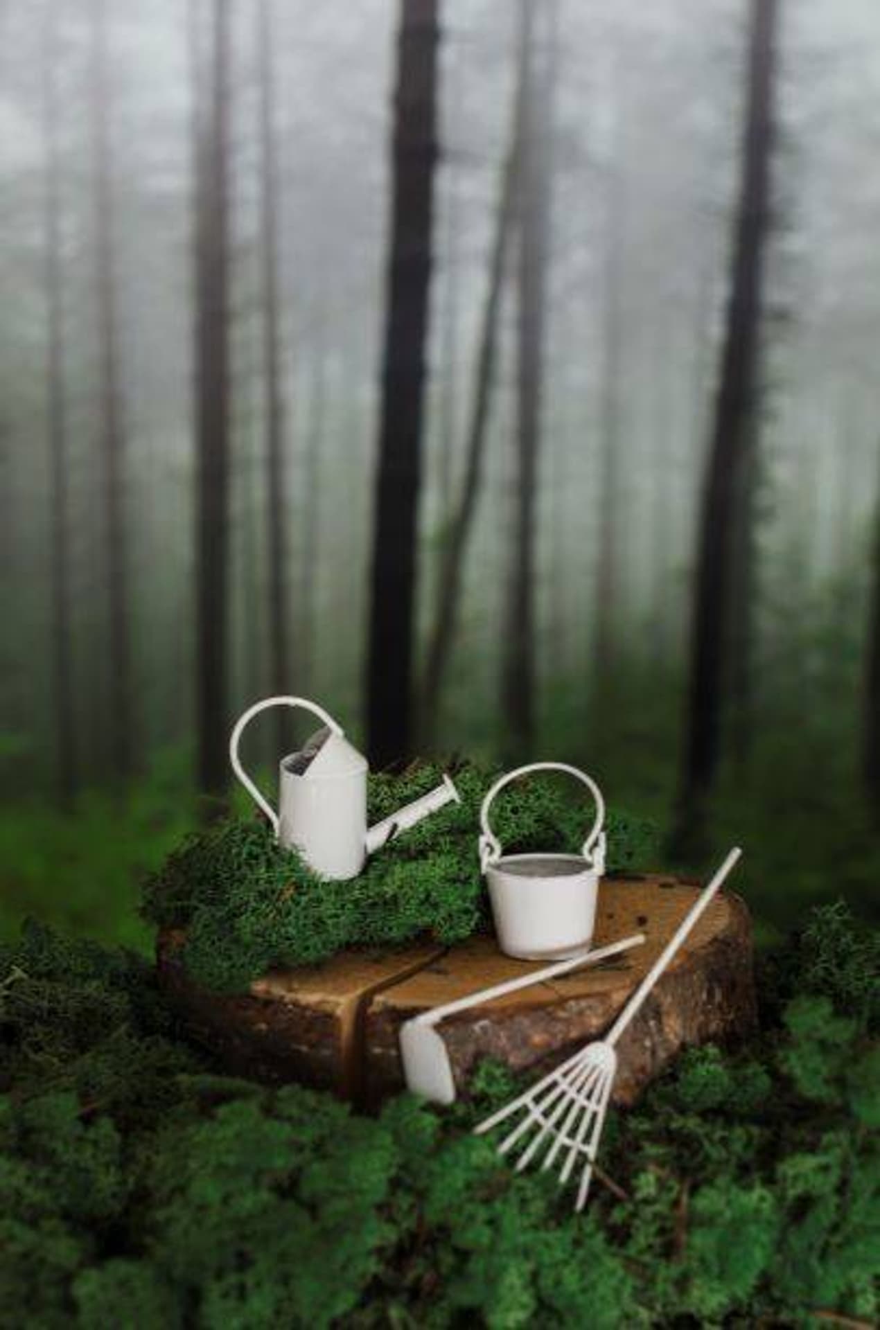 

Pergola ogrodowa mini