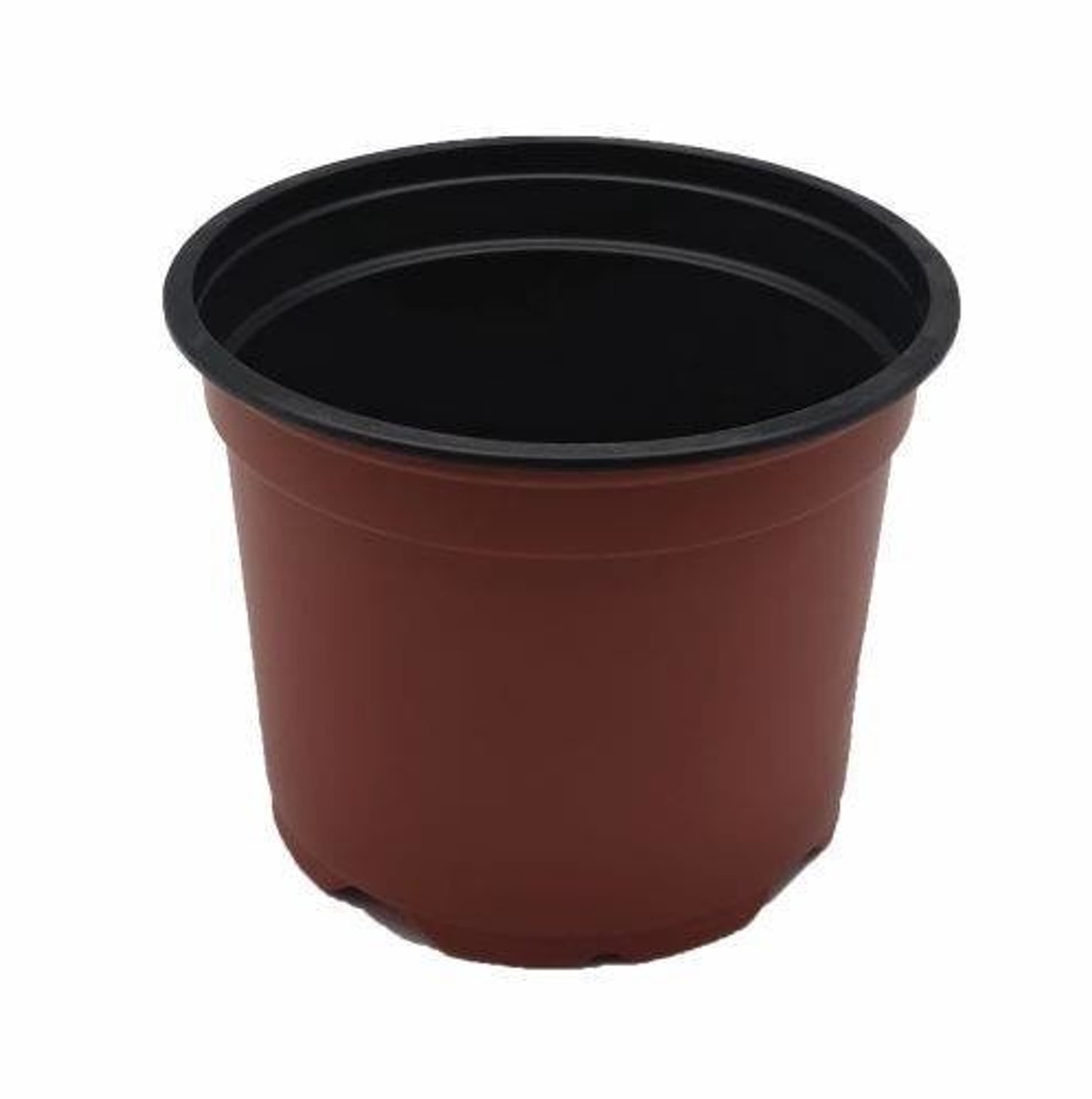 

Doniczka produkcyjna 12 cm (rozmiar 12cm)