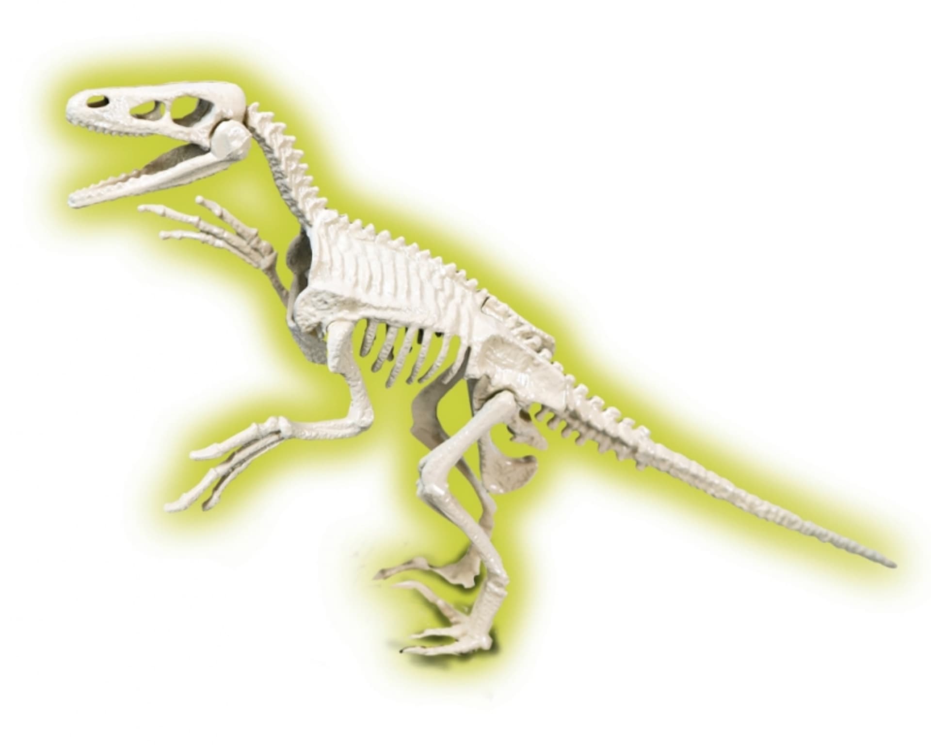 

SKAMIENIAŁOŚCI RAPTOR NAUKOWA ZABAWA APLIKACJA ANDROID