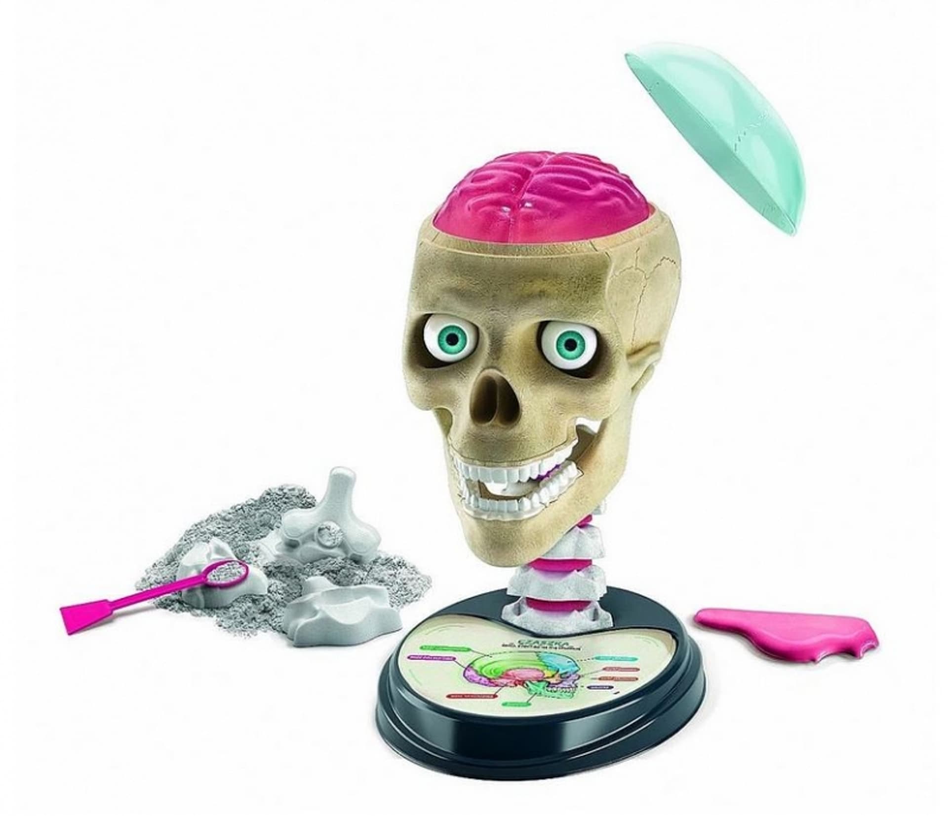 

ZWARIOWANA ANATOMIA LABORATORIUM NAUKOWA ZABAWA CLEMENTONI