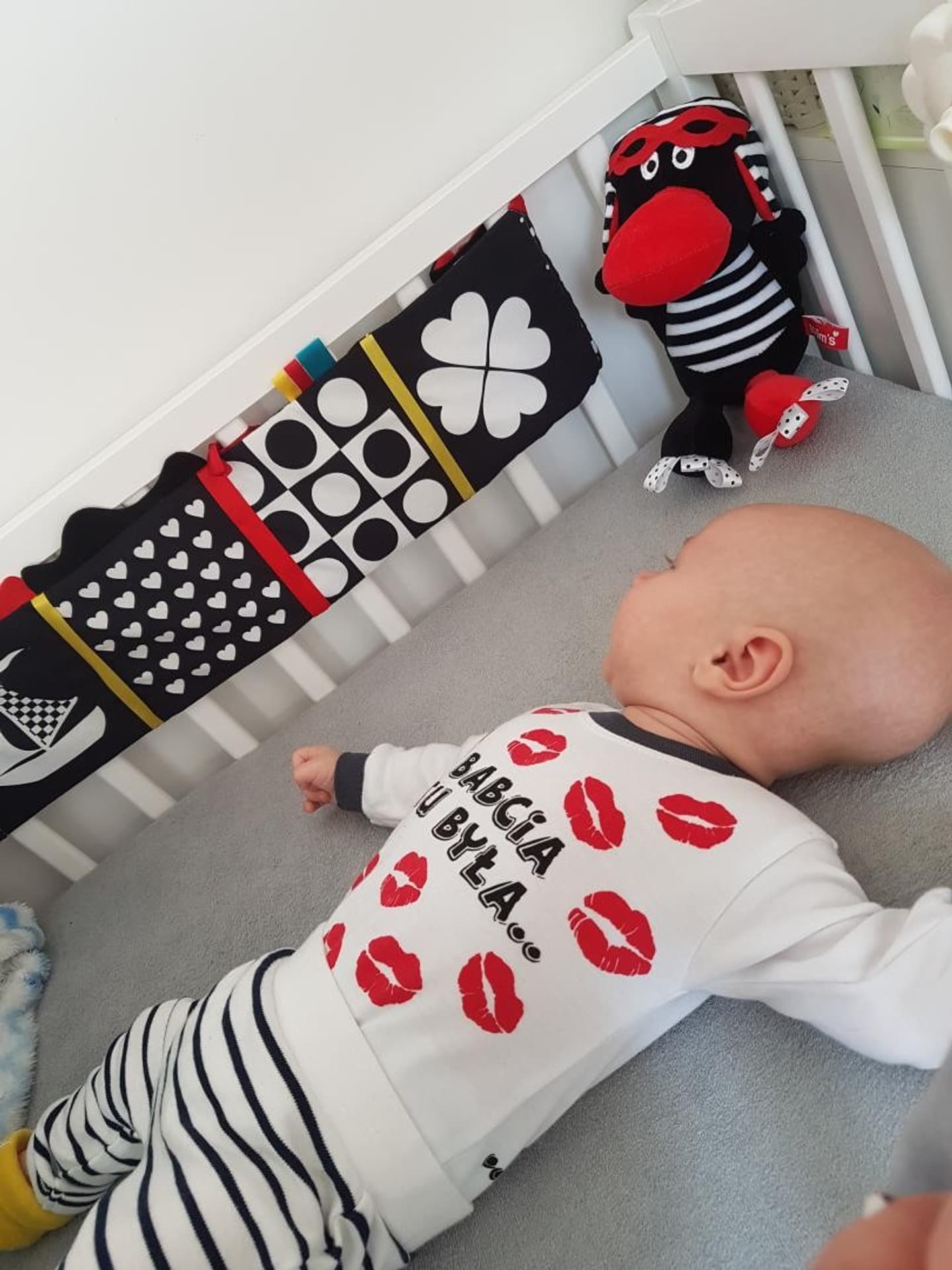 

Książeczka do łóżeczka Moms Care