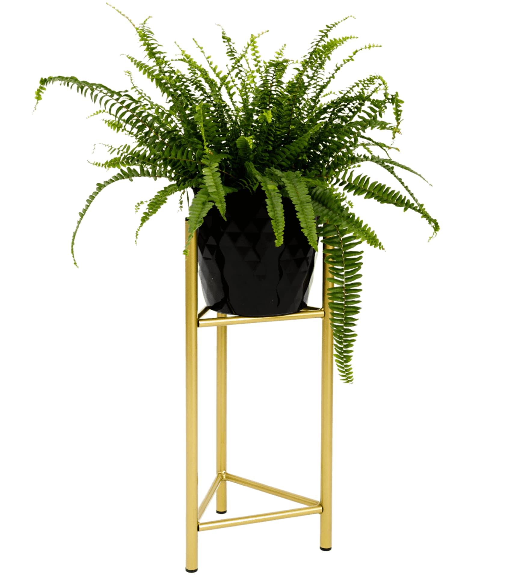 

Stojak na donice Belfort M Gold 18x50 cm