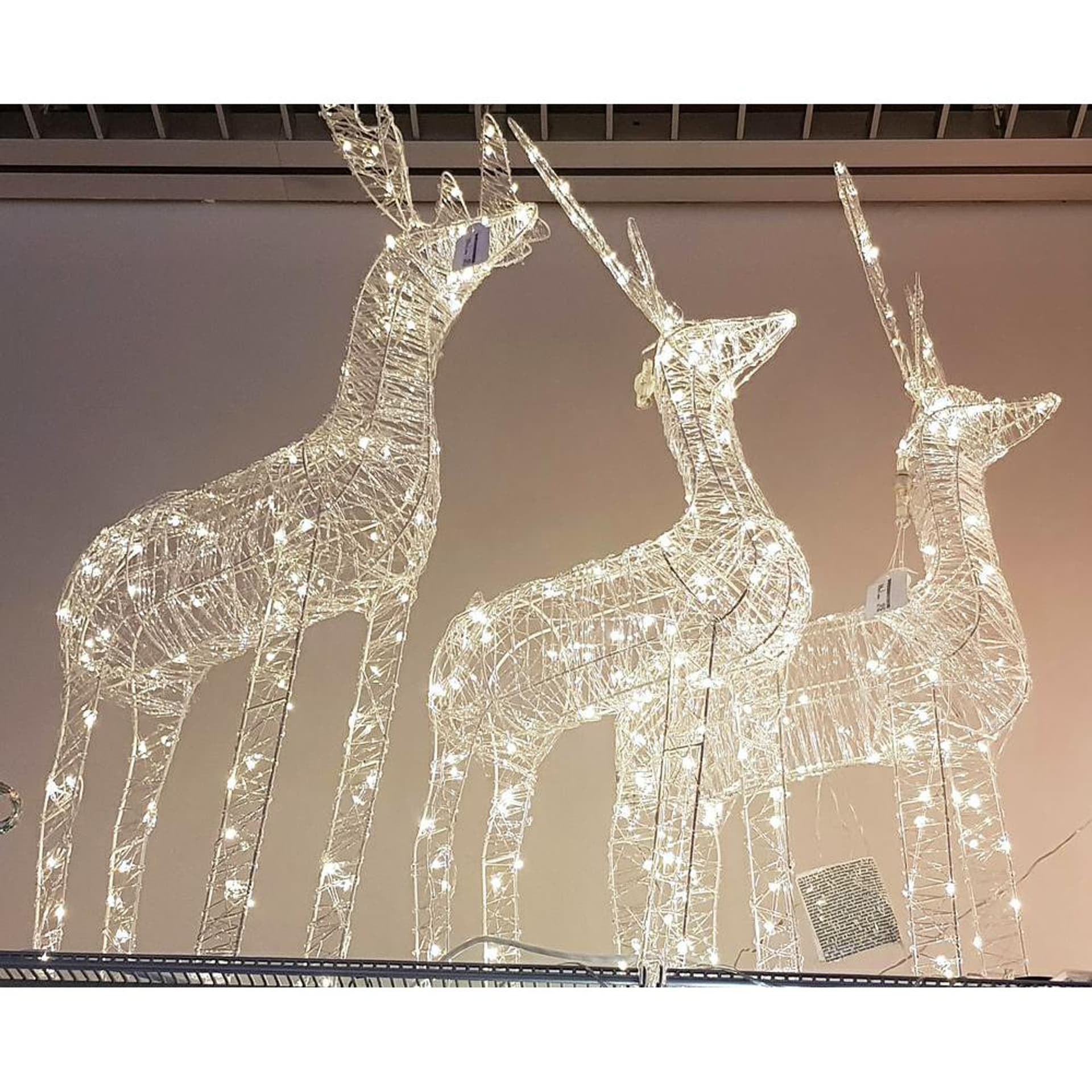 

Renifer akrylowy duży 100 LED