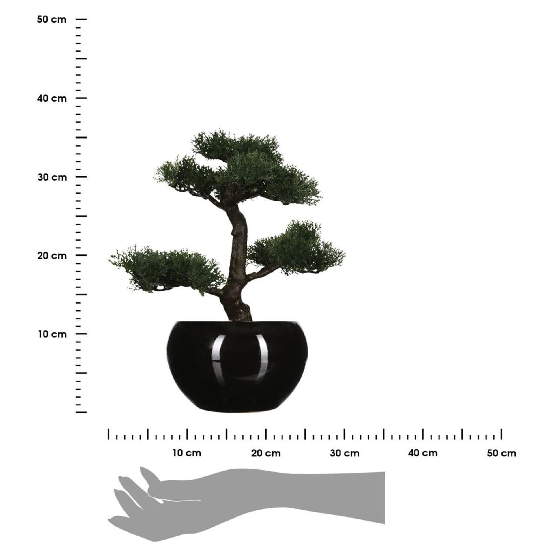 

Drzewko bonsai w czarnej doniczce 36 cm