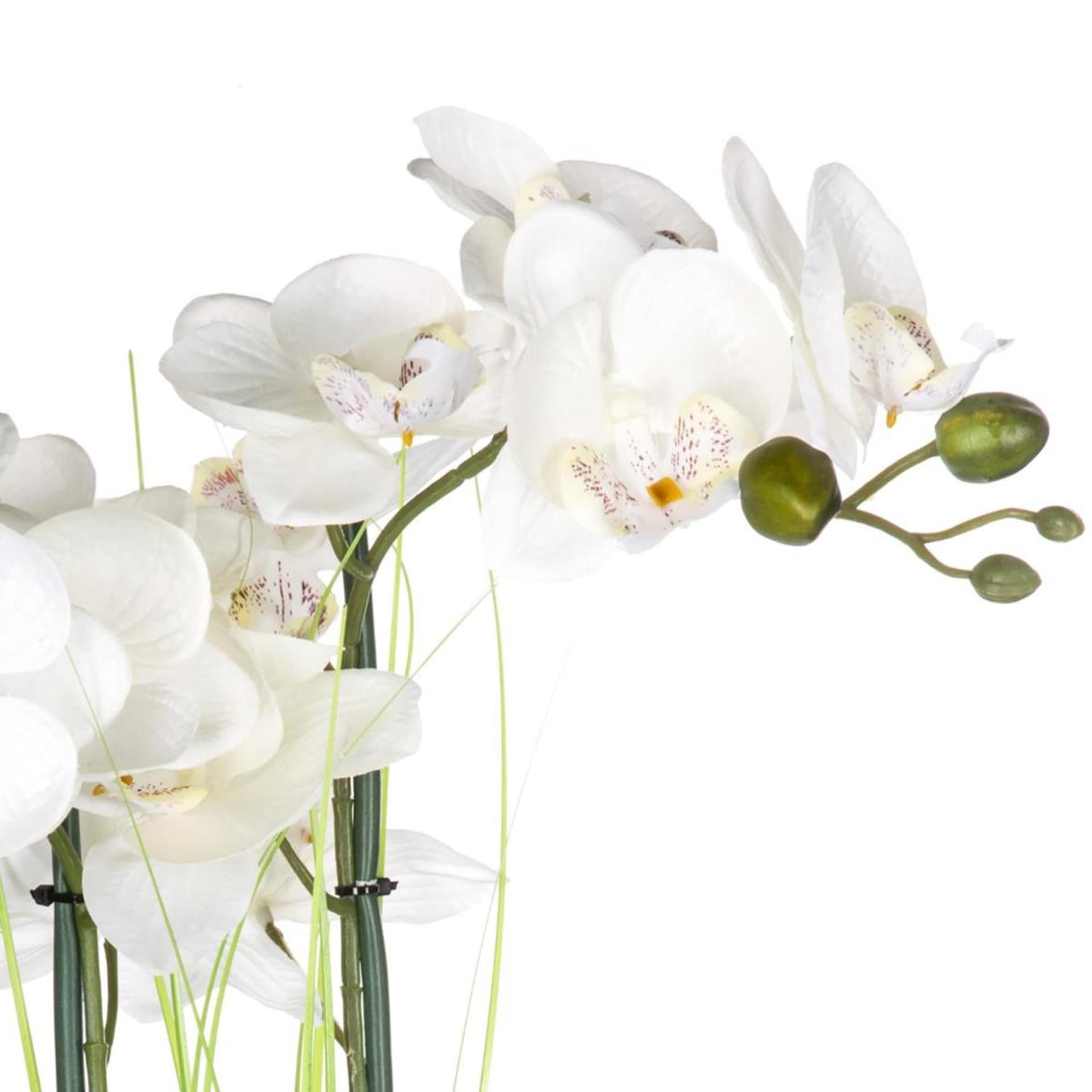 

Orchidea w srebrnej doniczce 53 cm