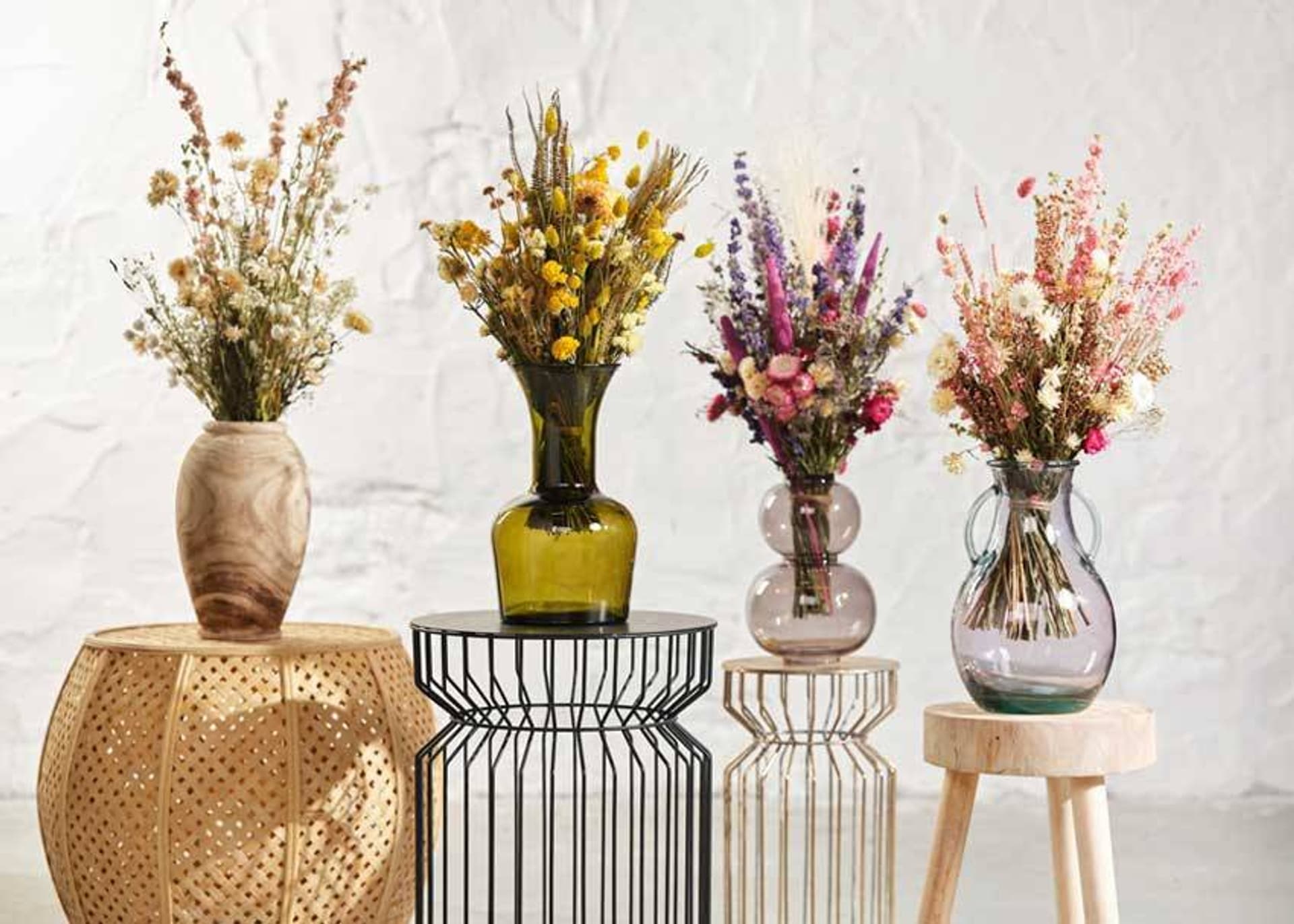 

Kwiaty suszone Helichrysum 60 cm