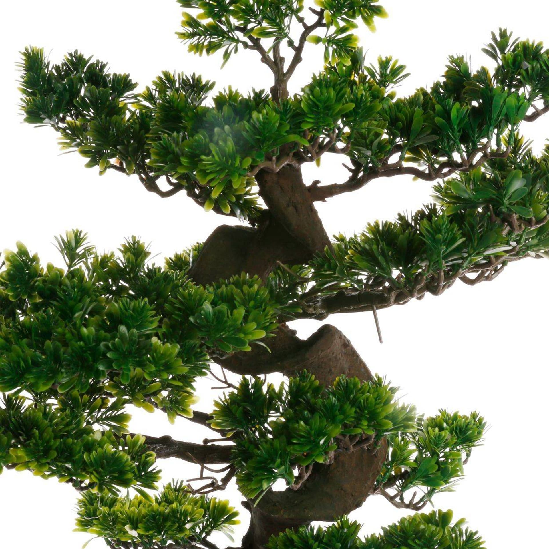 

Drzewko bonsai w czarnej doniczce 80 cm