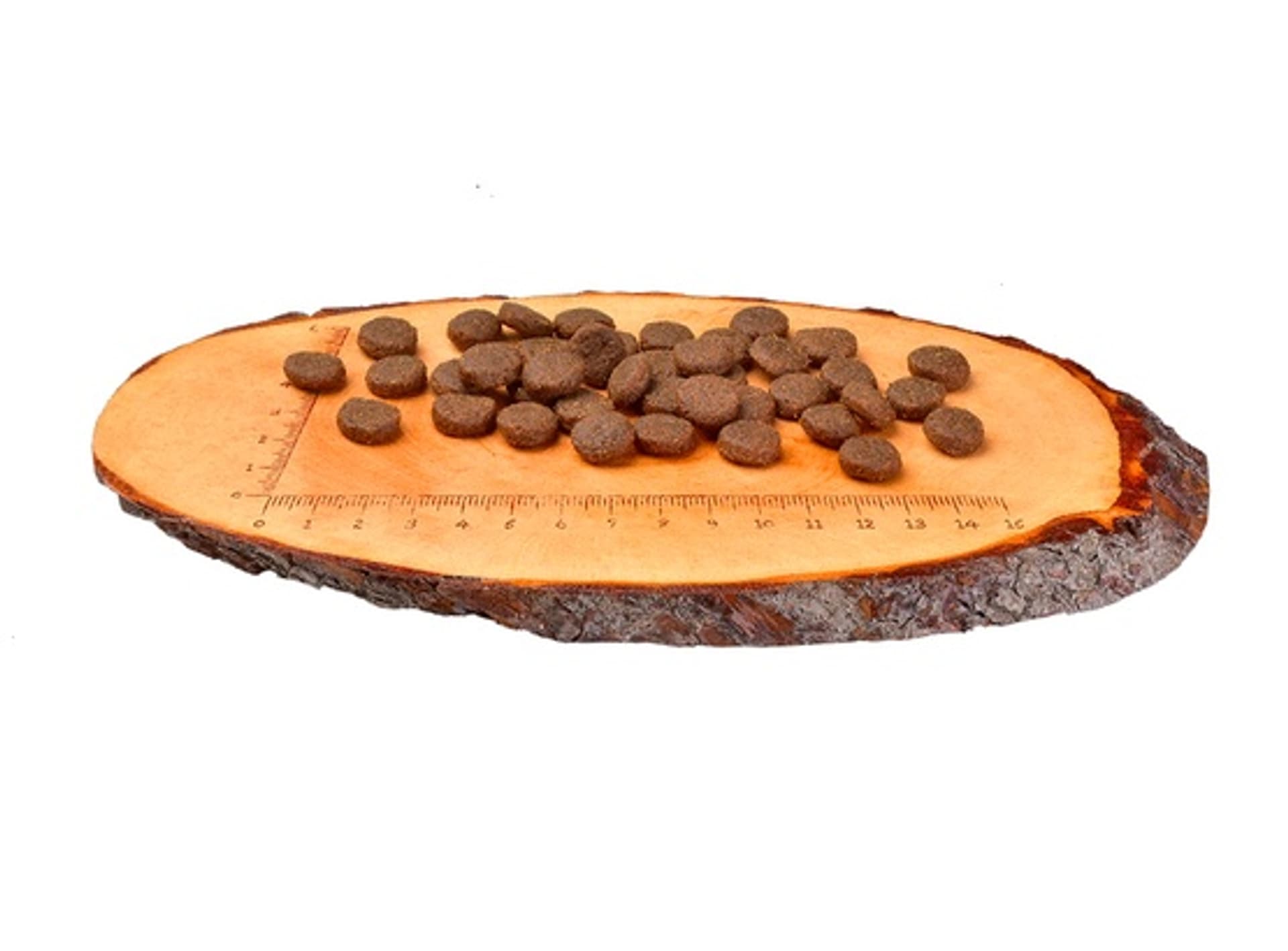 

Carnilove Dog Salmon & Turkey Large Puppy - łosoś i indyk 12kg