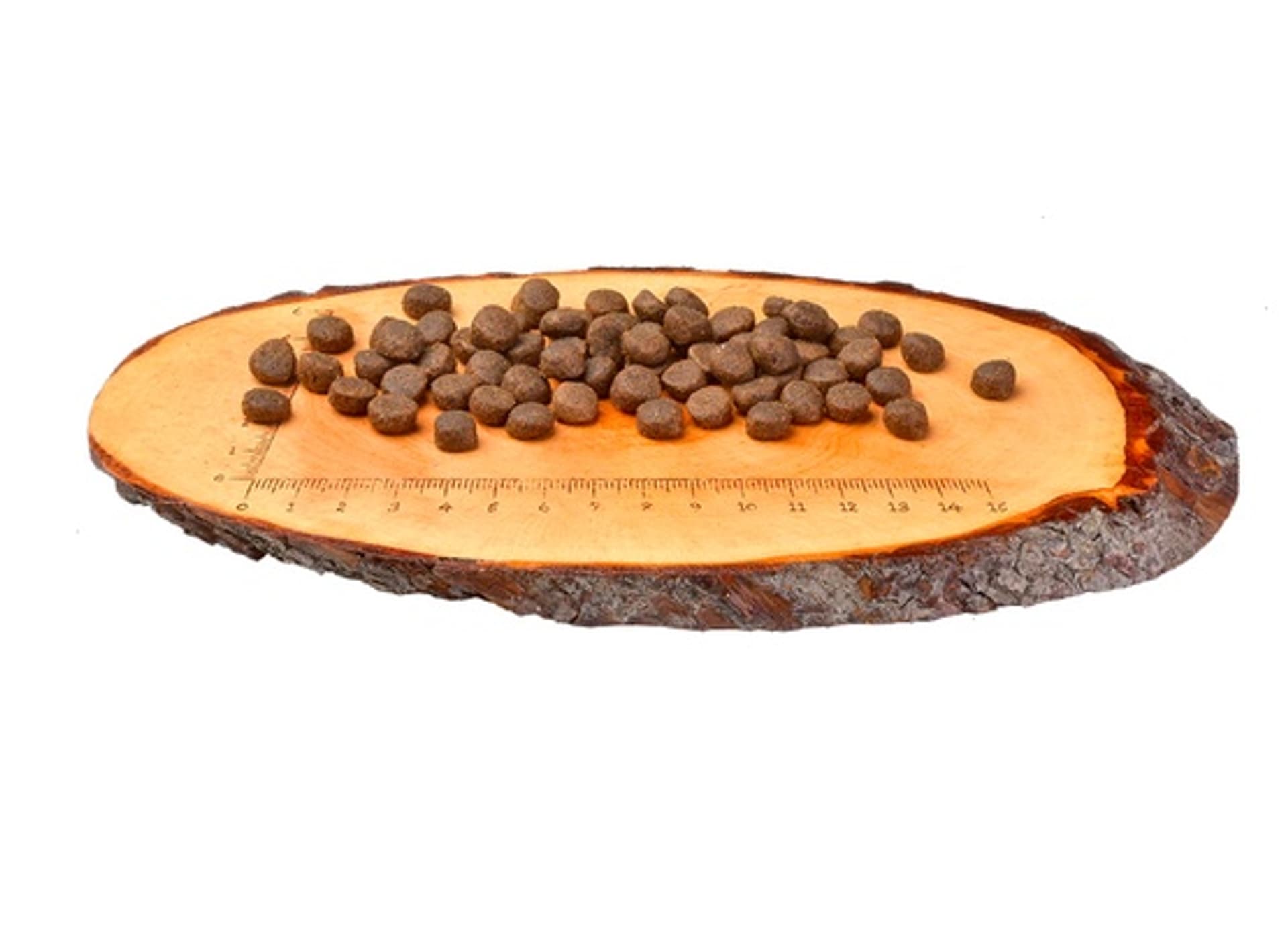

Carnilove Cat Duck & Turkey for Large Breed - kaczka i indyk 400g