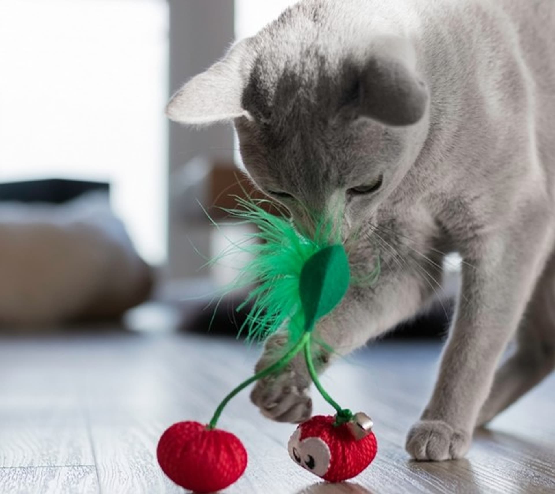 

Petstages Cherry Dental dla kota [PS67833]