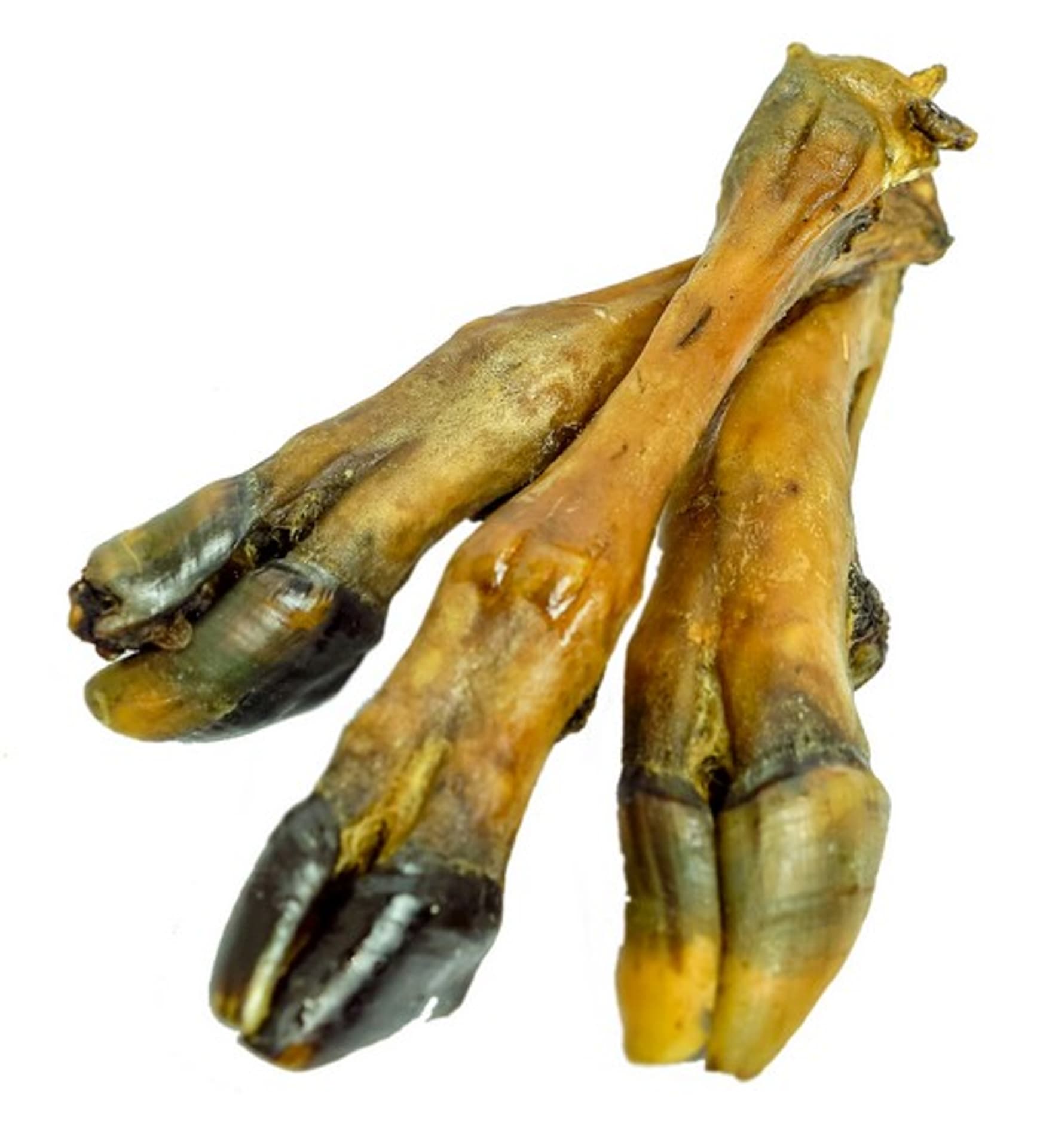 

Balto Racica barania 1szt