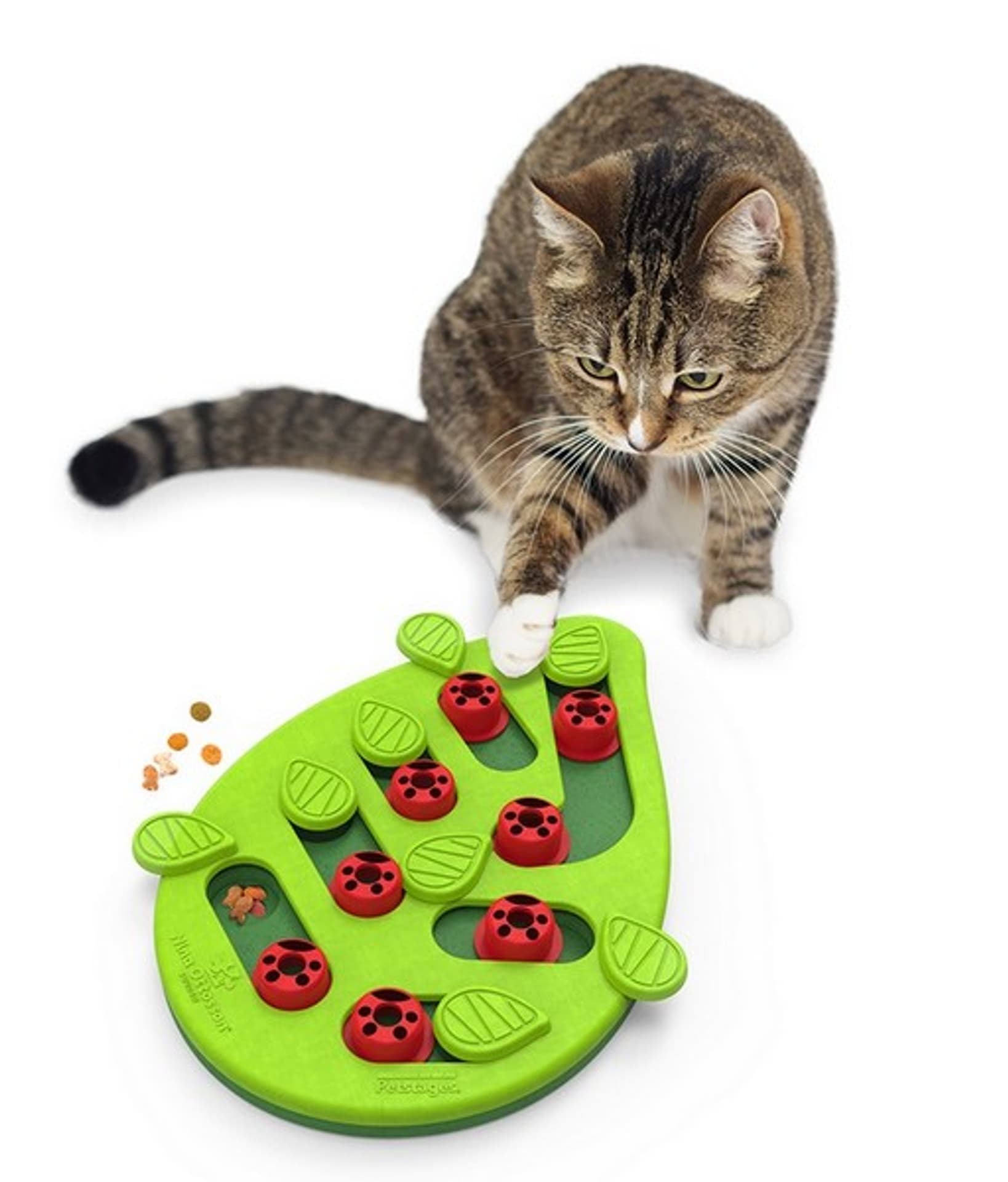 

Nina Ottosson Cat Buggin' Out Puzzle & Play - gra edukacyjna dla kotów