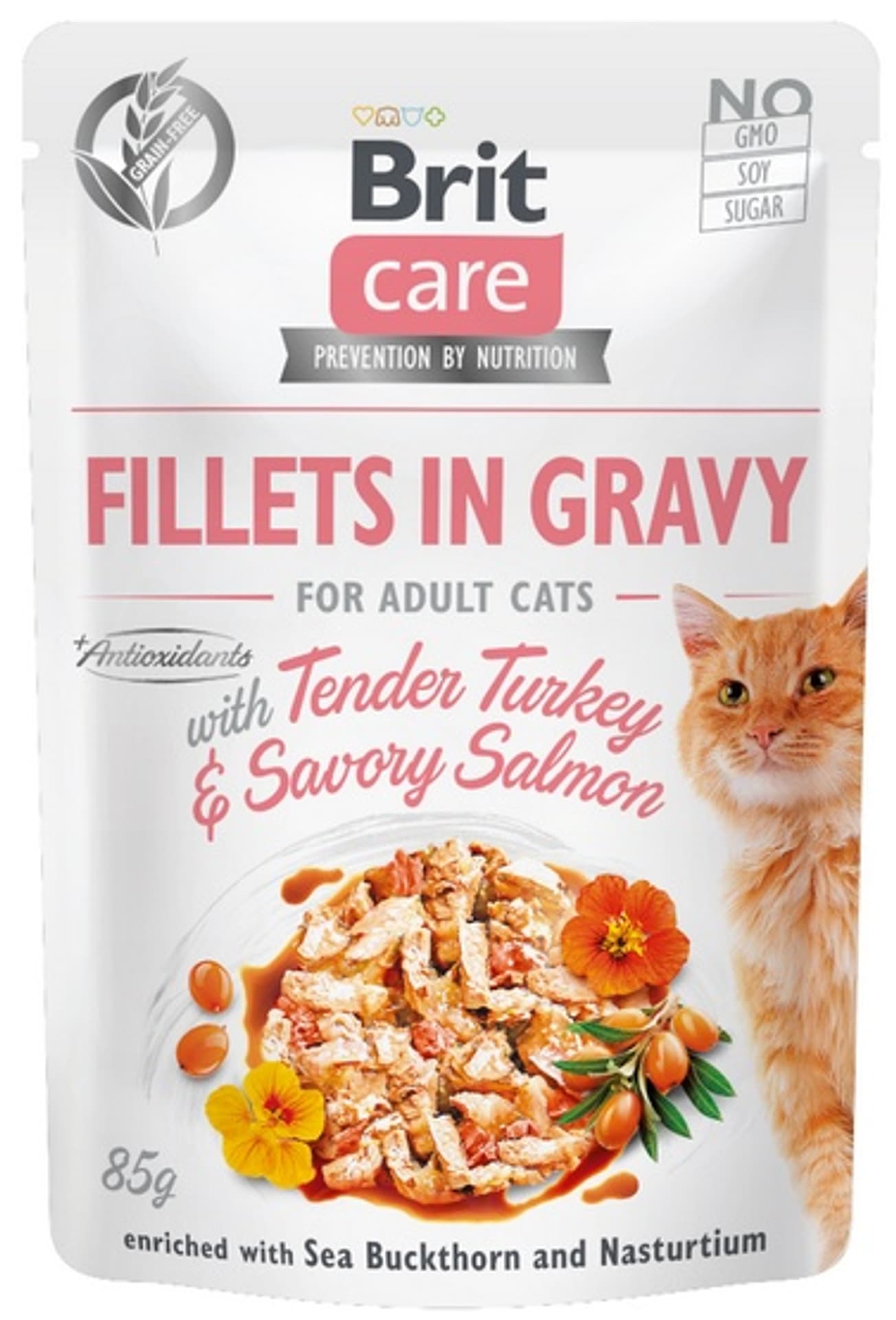 

Brit Care Cat Fillets In Gravy Turkey&Salmon 85g