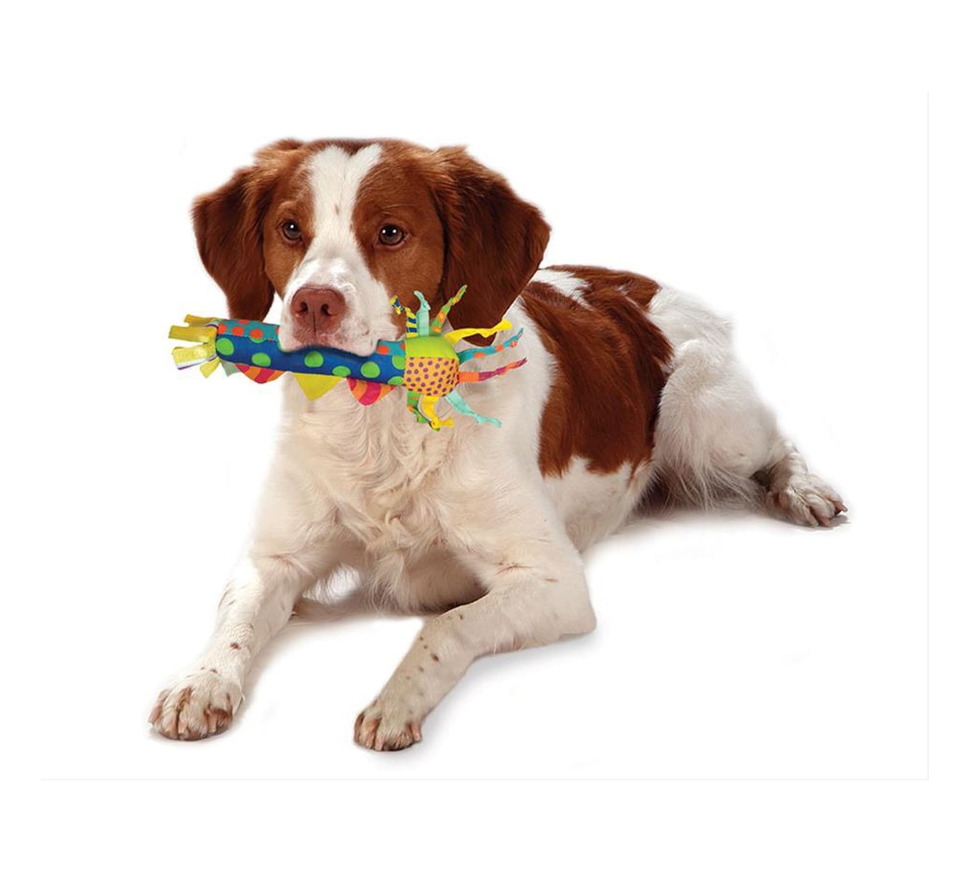 

PETSTAGES GRYZAK DLA SZCZENIĄT [PS126]
