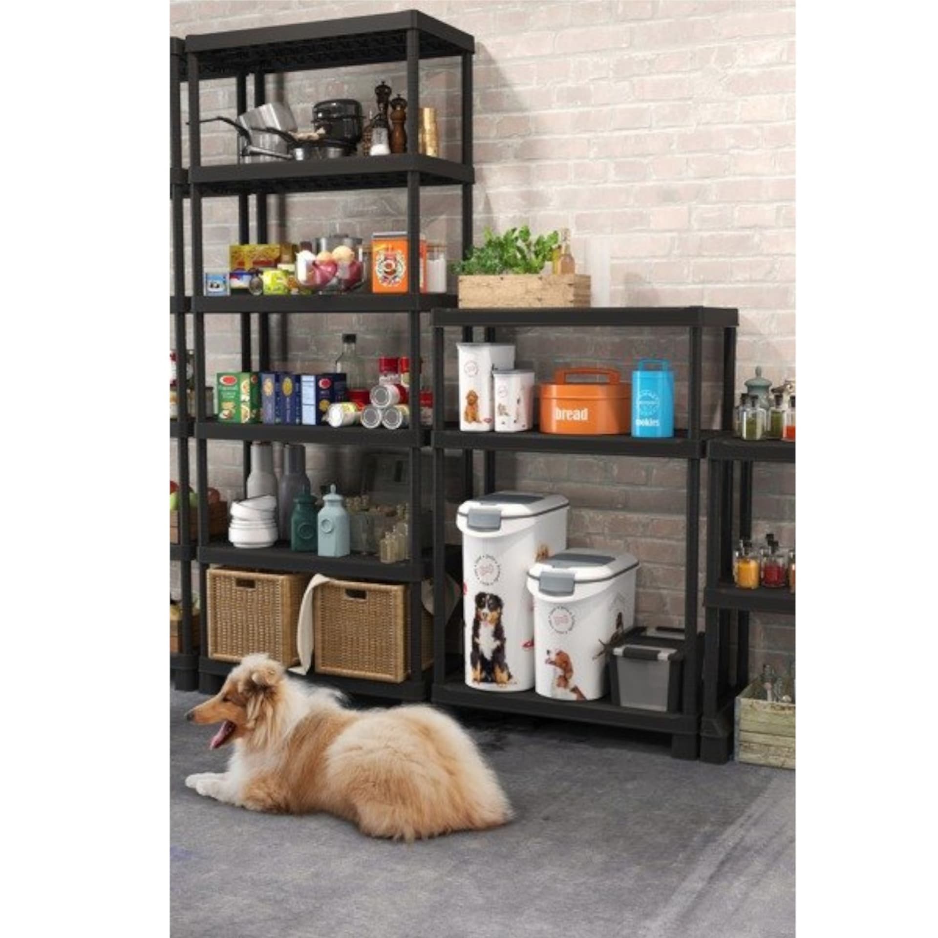 

Pojemnik na karmę Curver Love Pets Dogs 20kg (stary 181204)