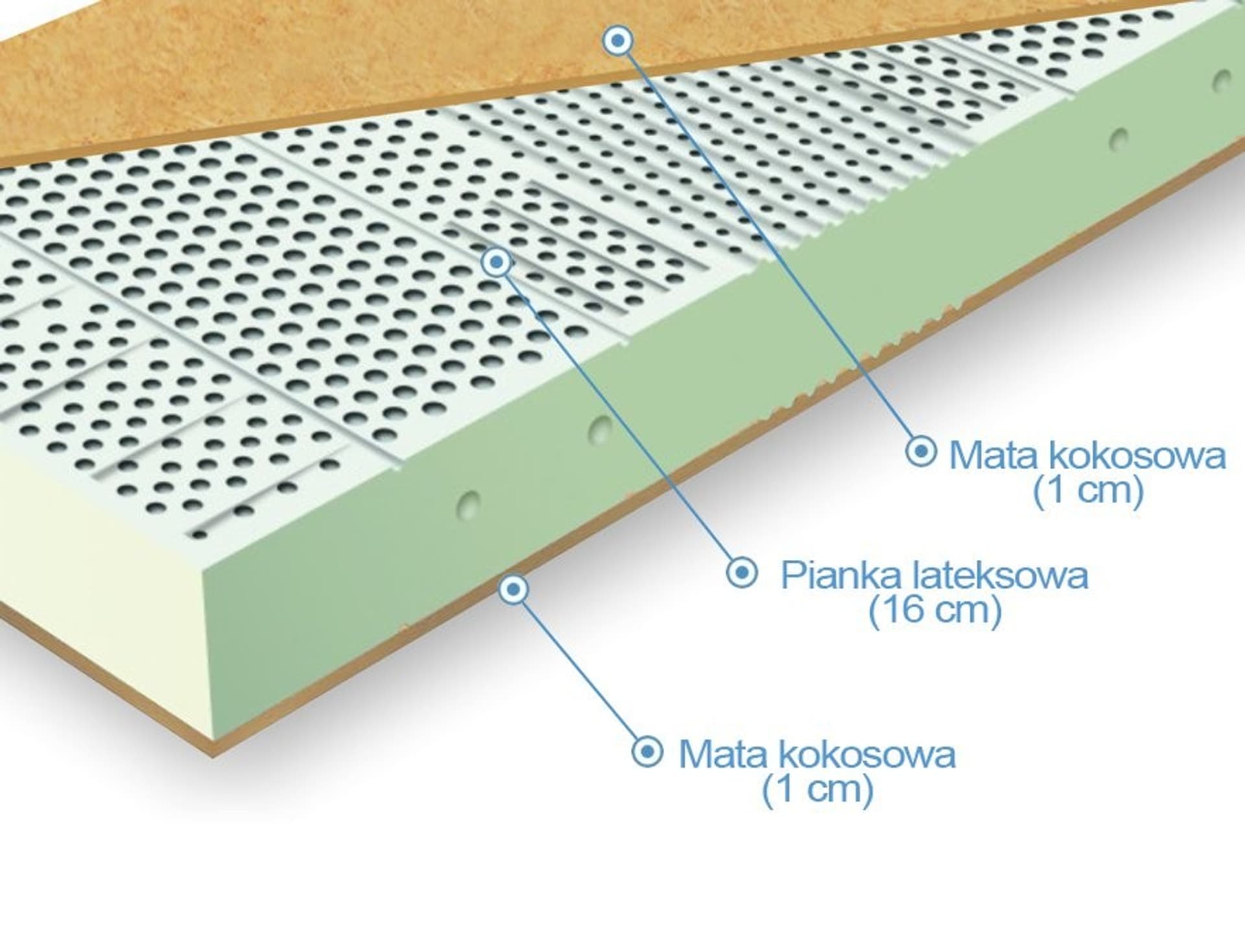 

Frankhauer Materac lateksowy z kokosem obustronnym Cyklop (pokrowiec Dormia, rozmiar 160 x 200)