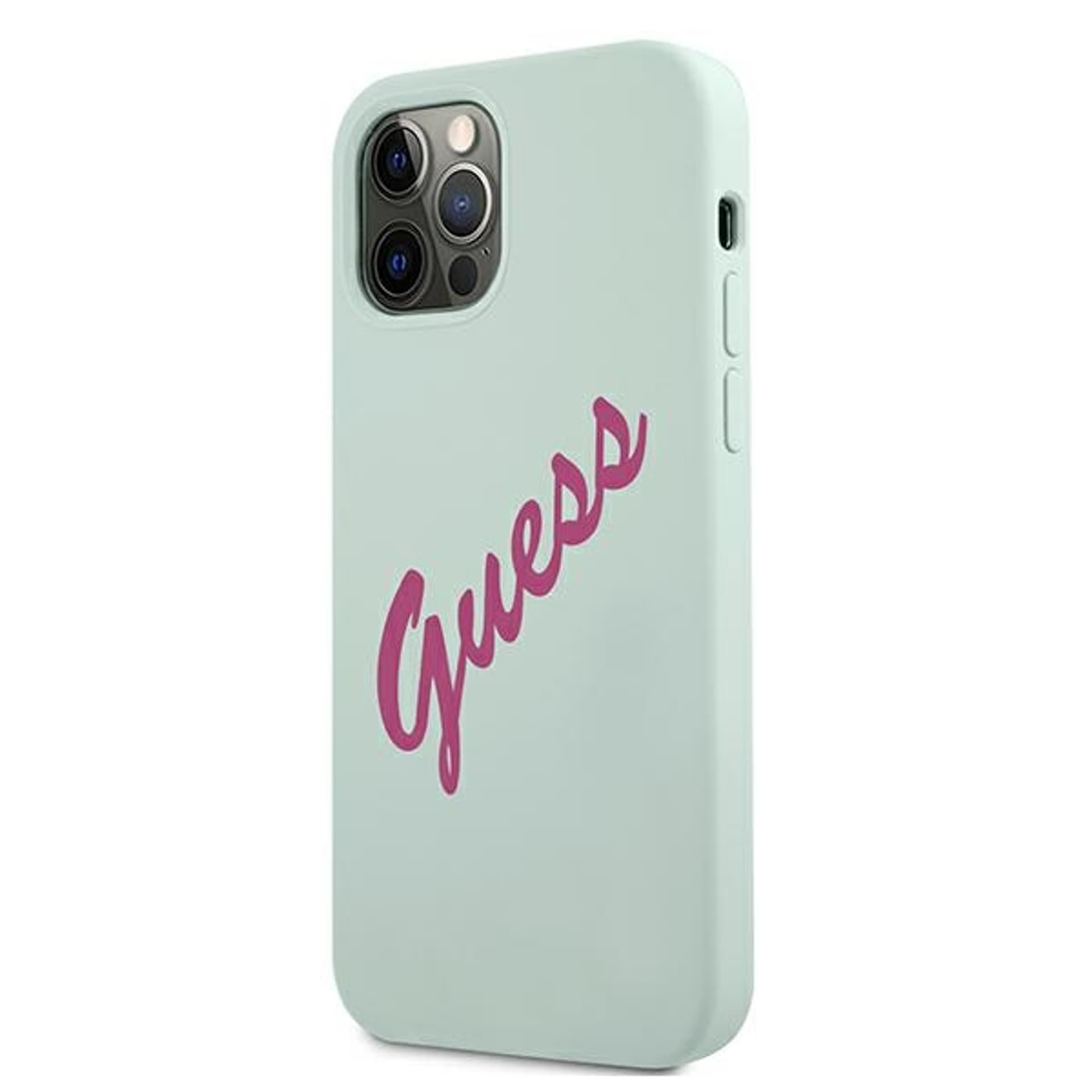 

Guess GUHCP12LLSVSBF iPhone 12 Pro Max 6,7" niebieski fuksja/blue fuschia hardcase Silicone Vintage